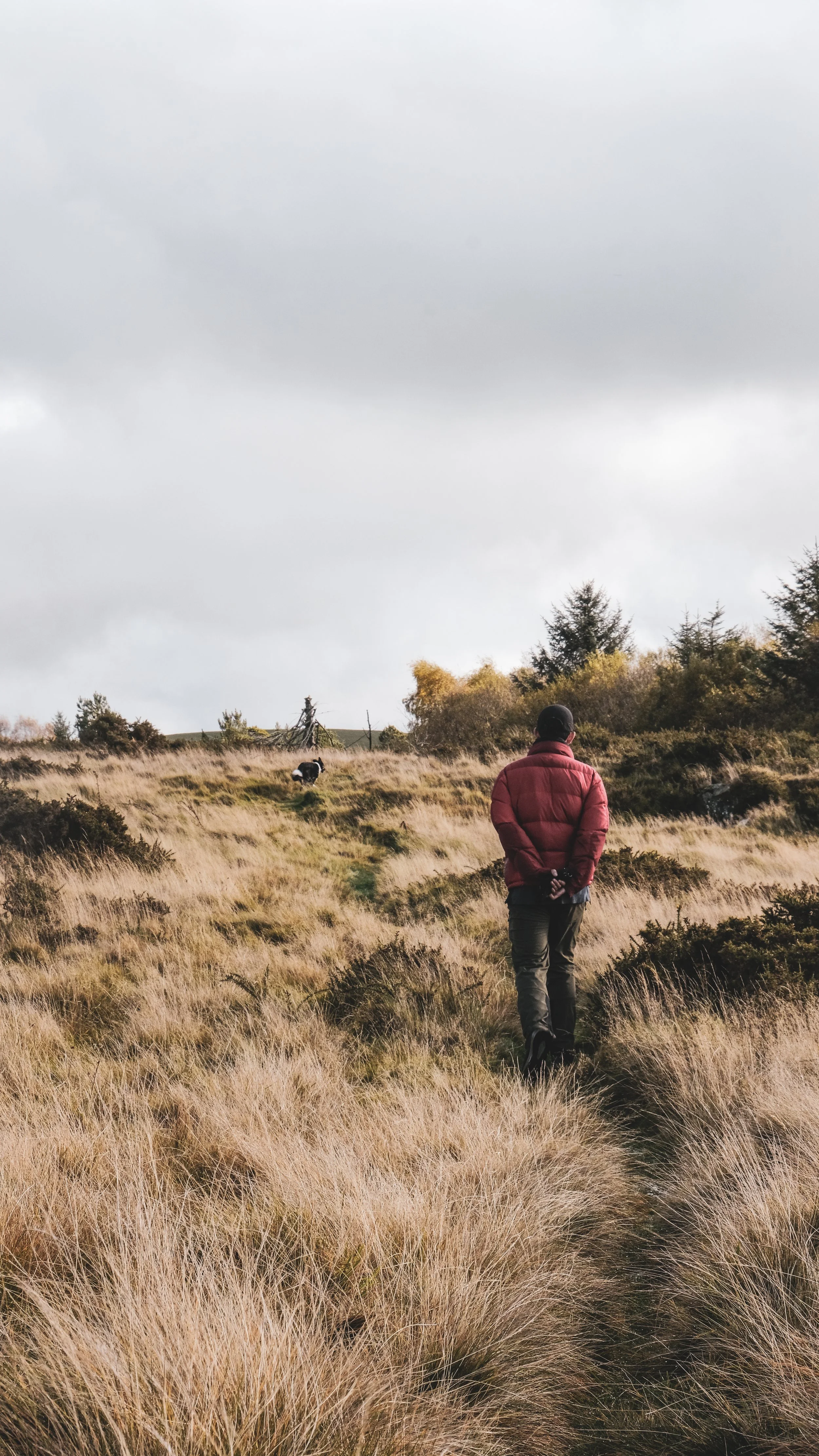A person in a red jacket walks along a narrow path through tall, dry grass in a rural landscape with trees and cloudy sky in the background.