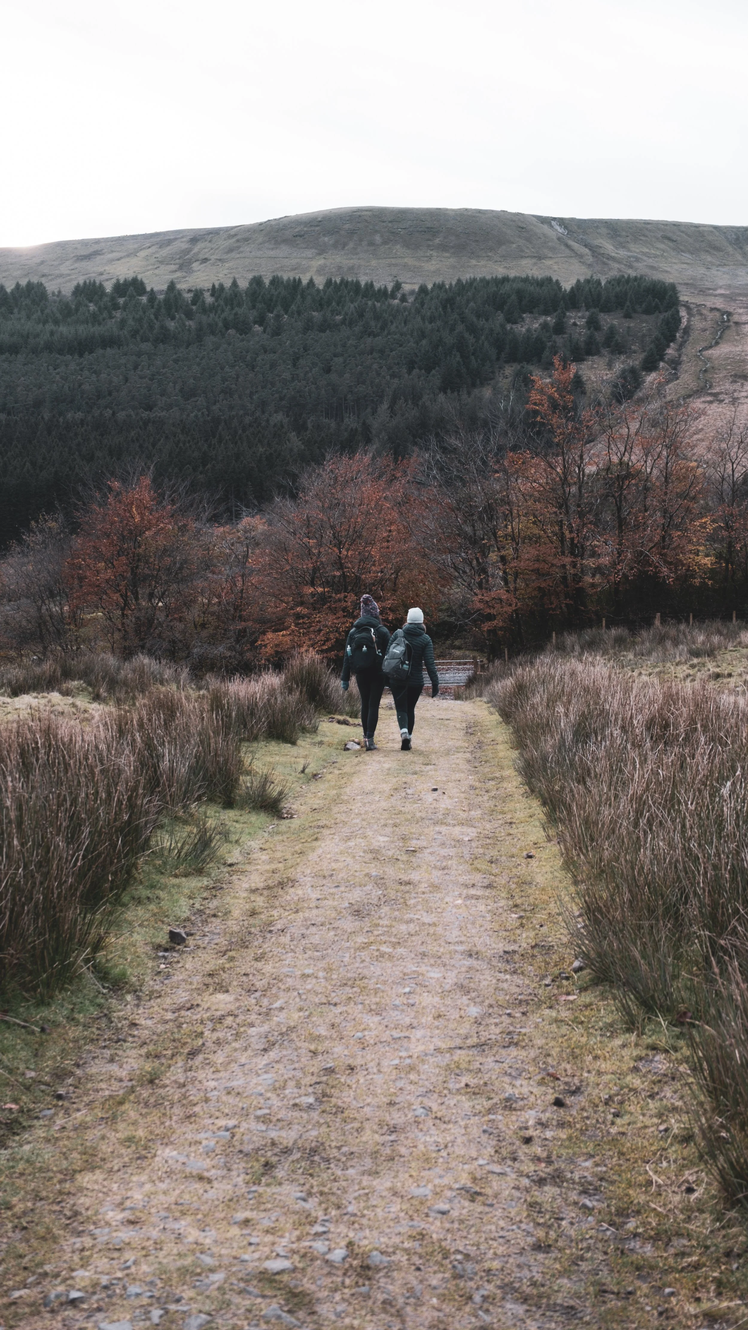 Two hikers walking along a dirt trail in a mountainous area with autumn-colored trees and hills in the background.