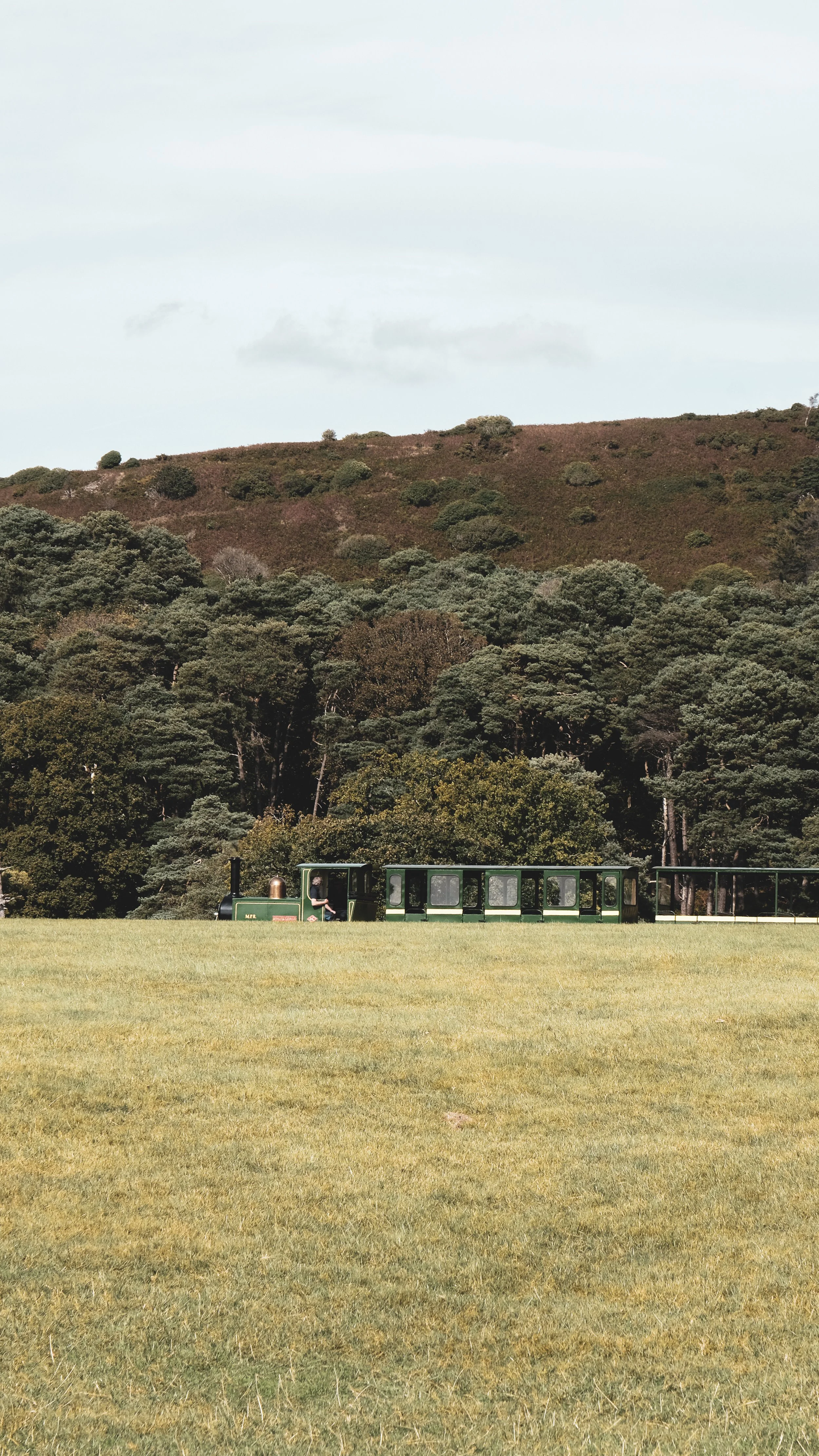 A miniature train running across a grassy field with a backdrop of trees and a hill.