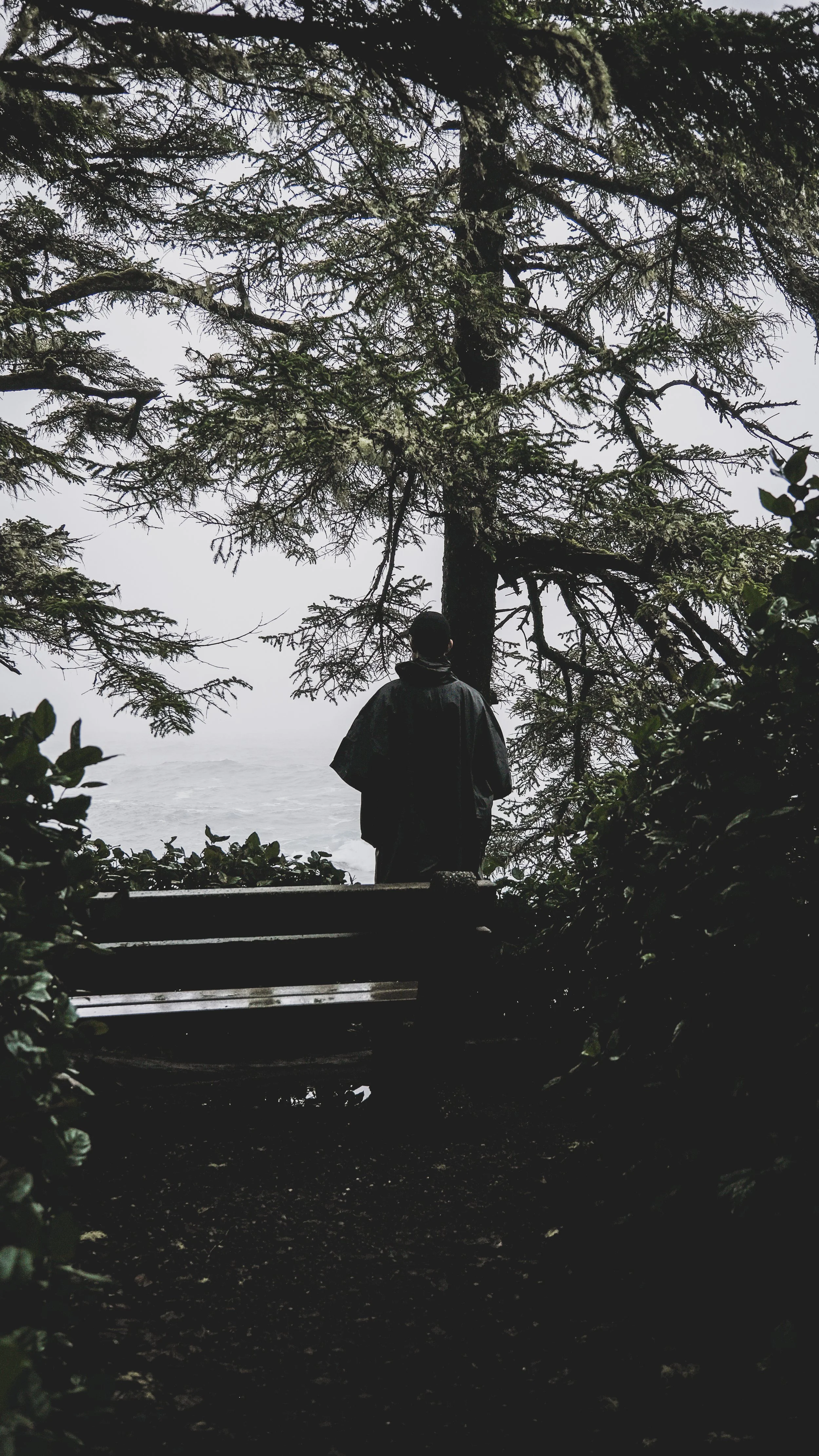 DSCF6431.jpg