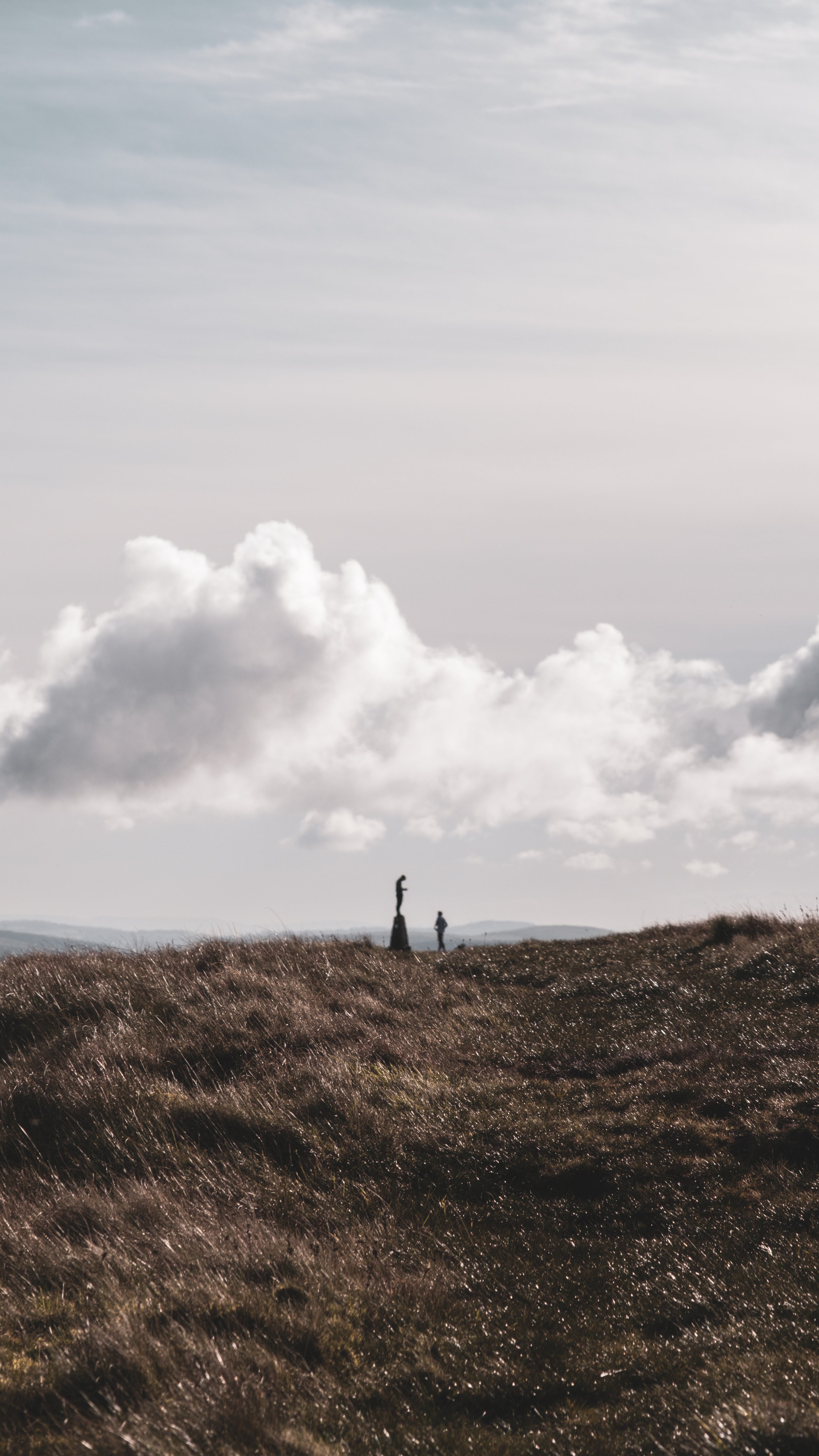A landscape with grassy fields under a cloudy sky, with a silhouette of a person and a sculpture or tree on a small mound in the distance.