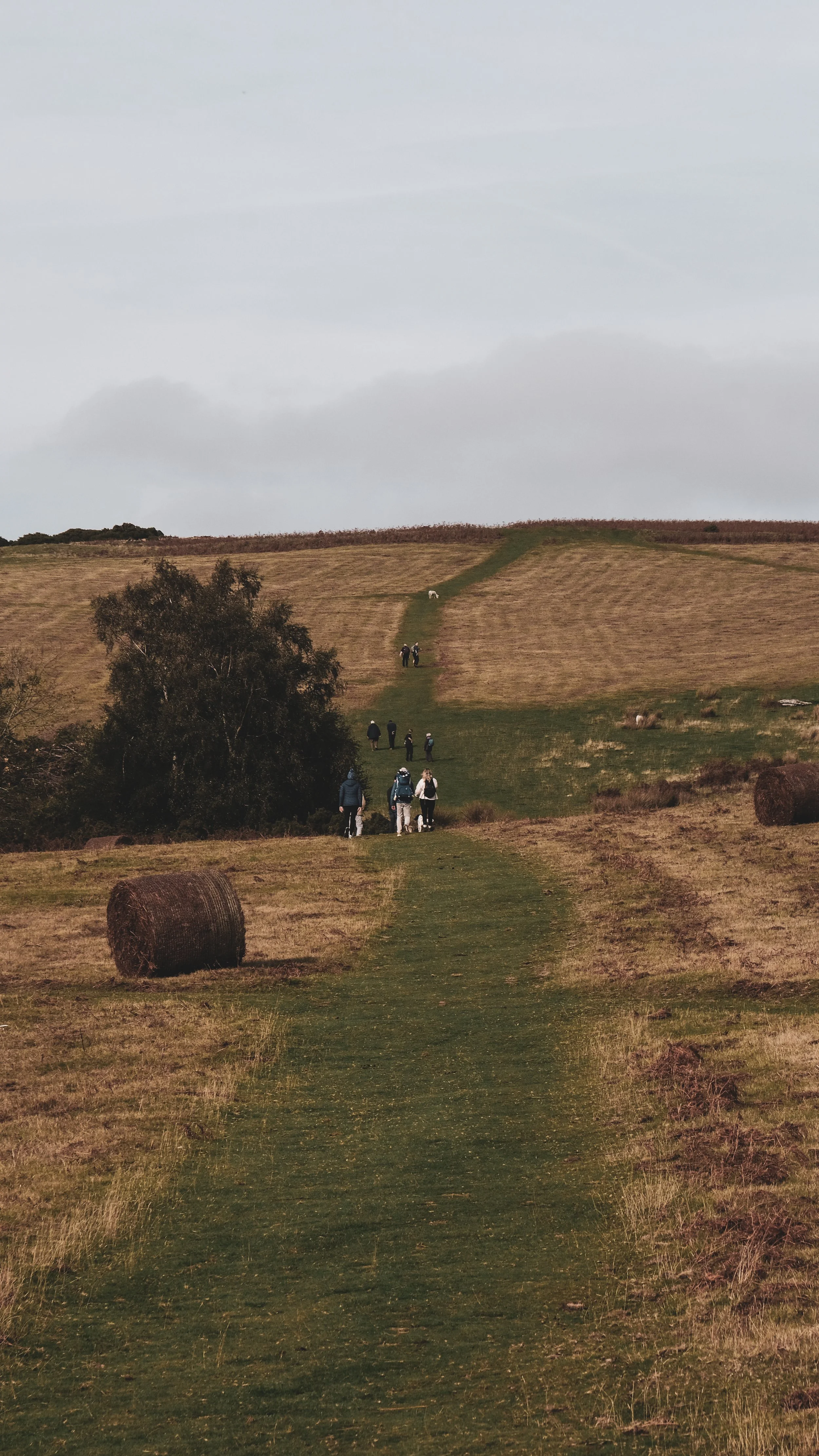 People walking along a grassy trail through a rolling countryside with hay bales and a lone tree under a cloudy sky.