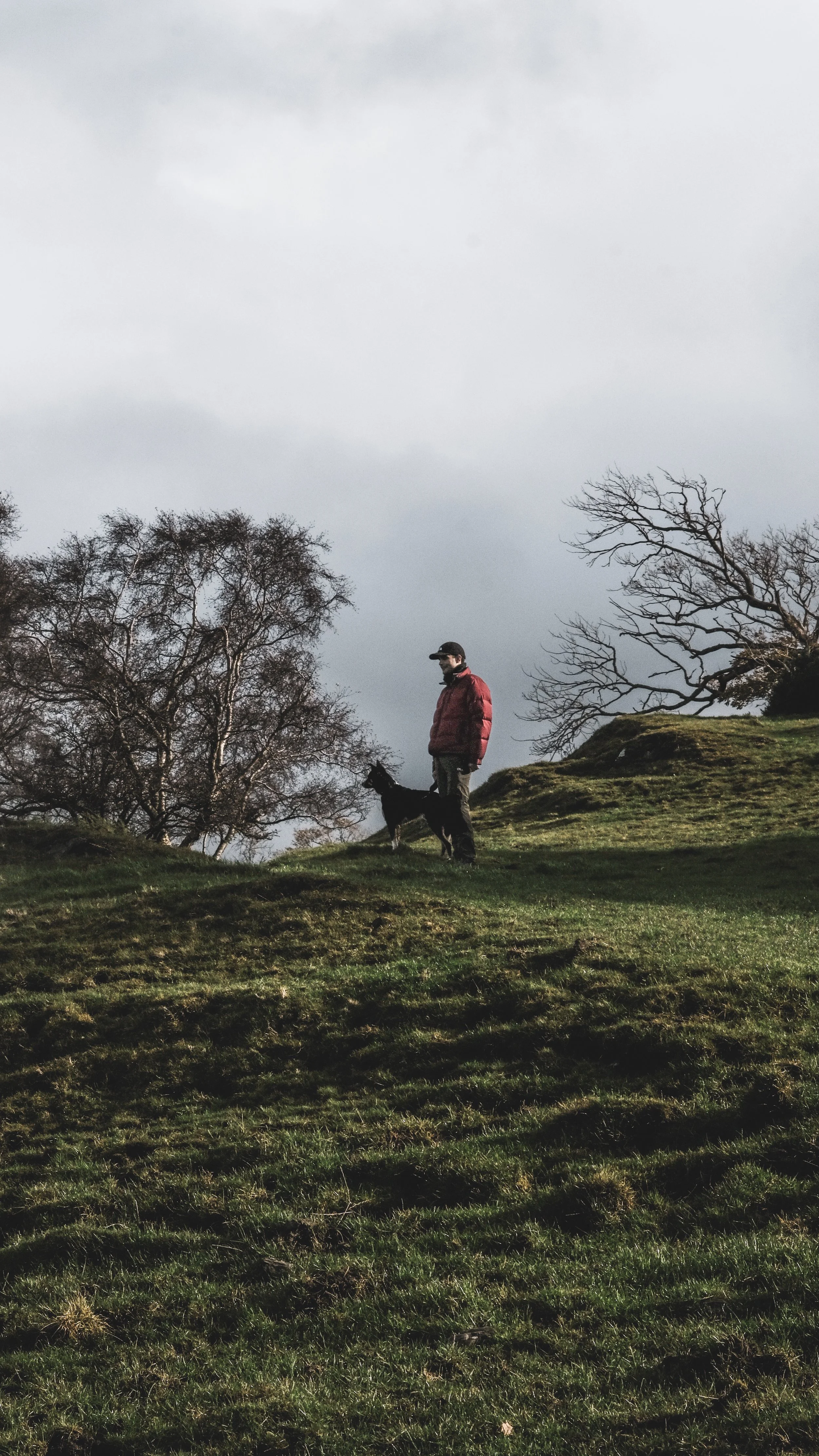 A person standing on a grassy hill with a dog, under a cloudy sky and leafless trees.