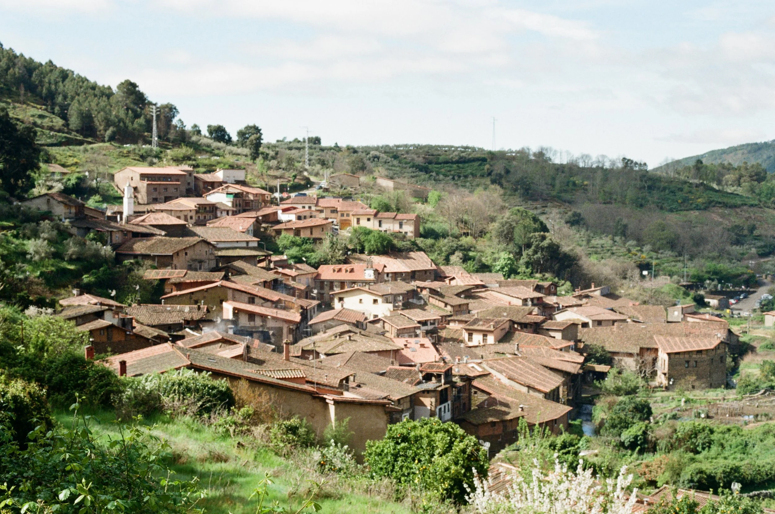 Hillside village with closely packed houses and terracotta roofs surrounded by green trees and vegetation.