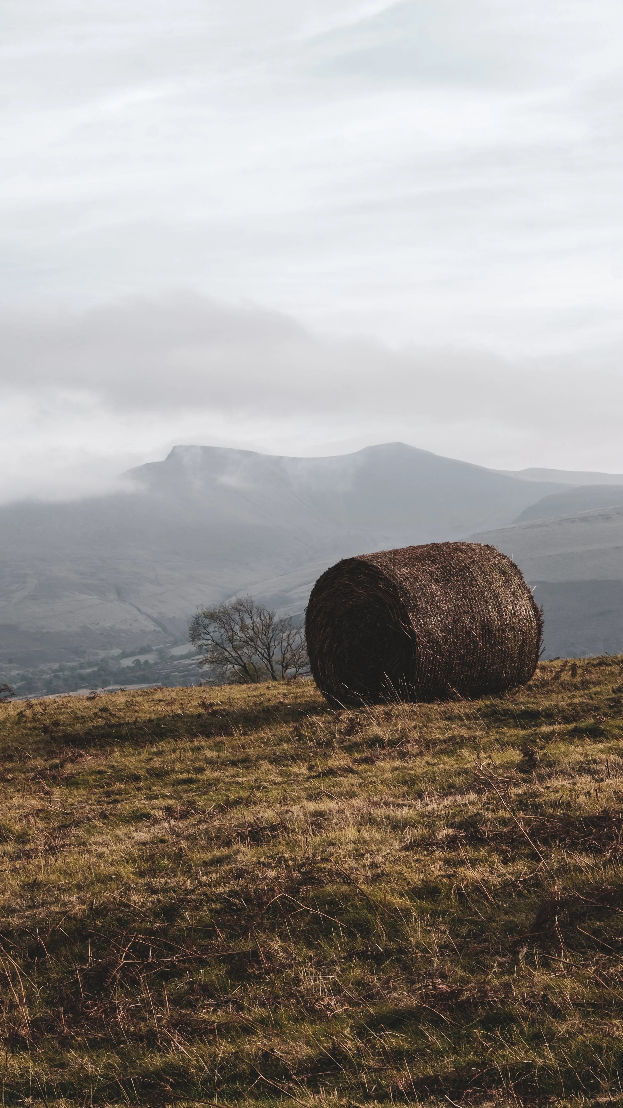 A large hay bale on a grassy field with mountains and cloudy sky in the background.