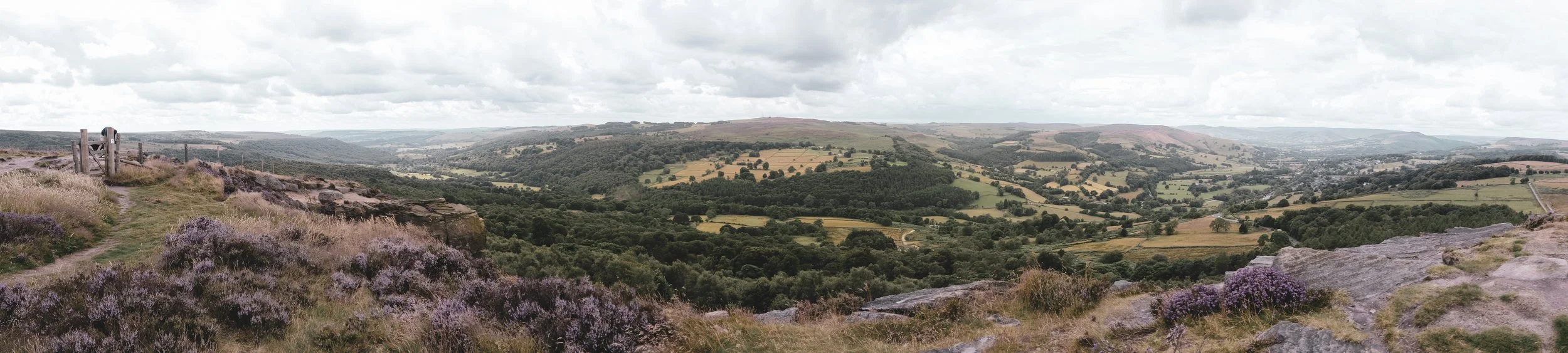 Panoramic view of rolling green hills, patchwork farms, and overcast sky from a rocky hilltop with purple wildflowers in the foreground.