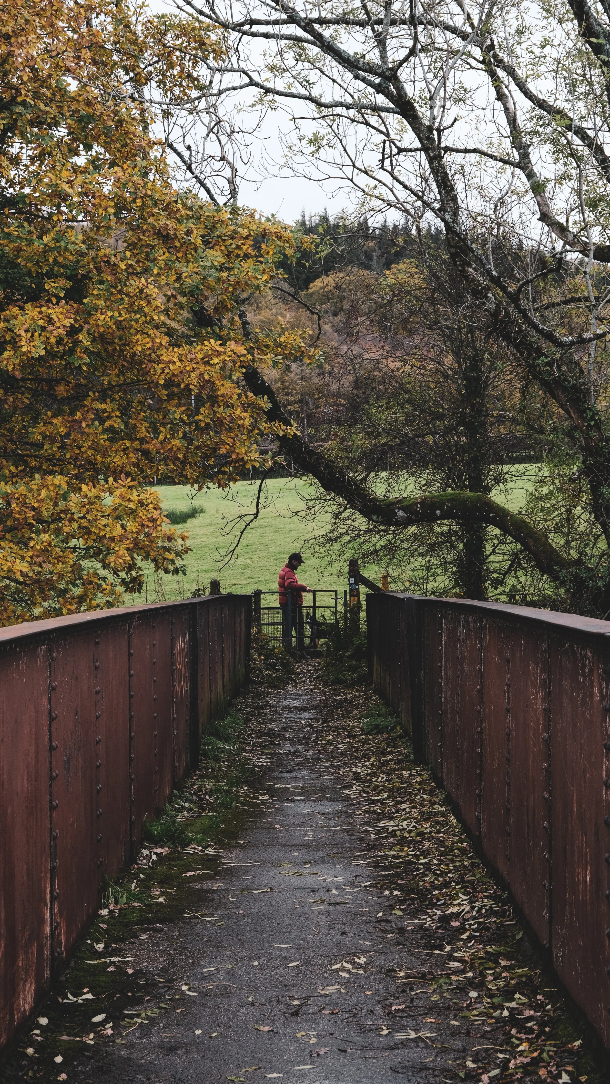 A person in a red jacket standing on a small wooden bridge, holding a dog, surrounded by fall foliage and overcast sky.