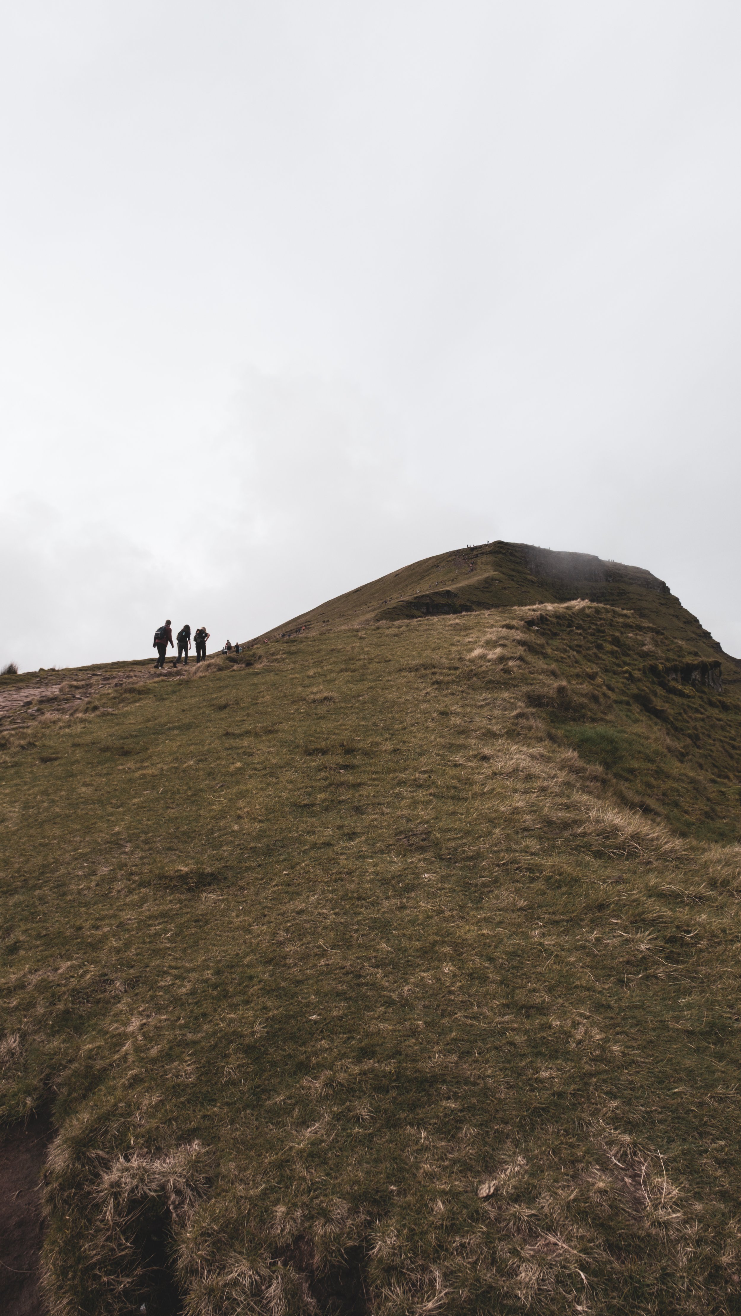 A group of hikers walking up a grassy hillside under a cloudy sky.