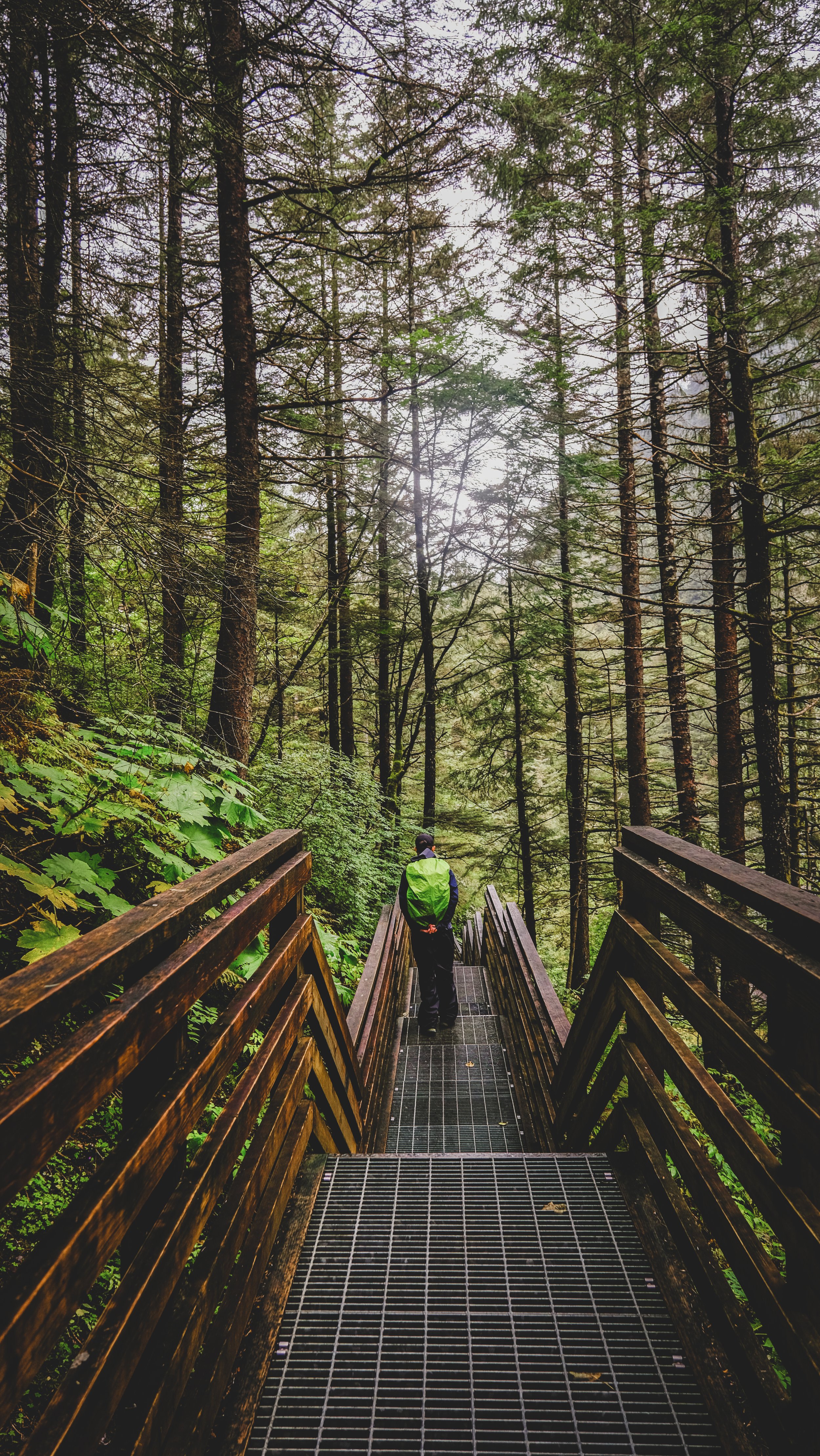A person wearing a green backpack walking on a metal and wood bridge surrounded by tall green trees in a forest.