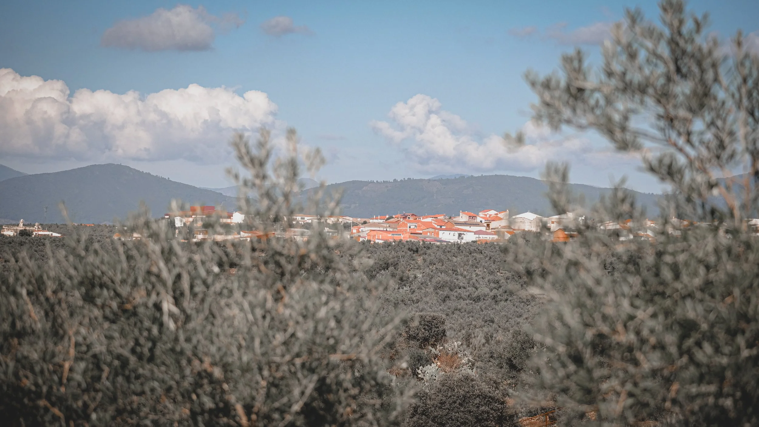 A scenic view of a small town with red-tiled roofs, surrounded by hills and trees, with a partly cloudy sky overhead.