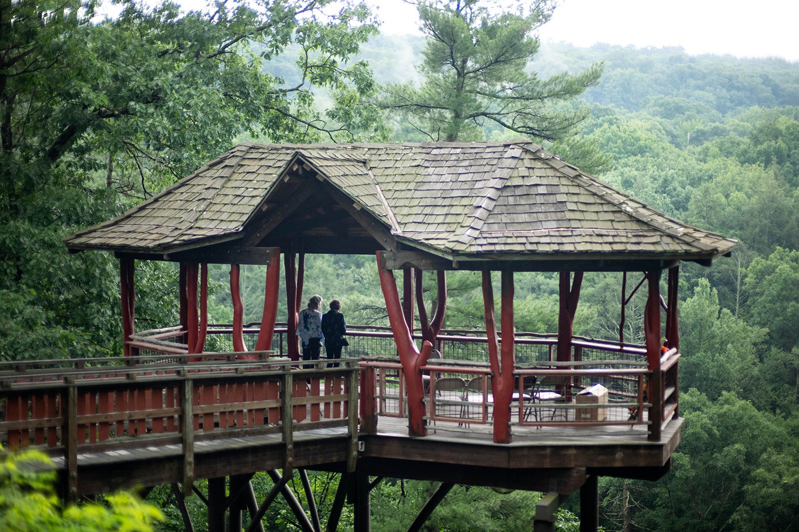 Two people standing under a wooden gazebo overlooking a forested landscape.