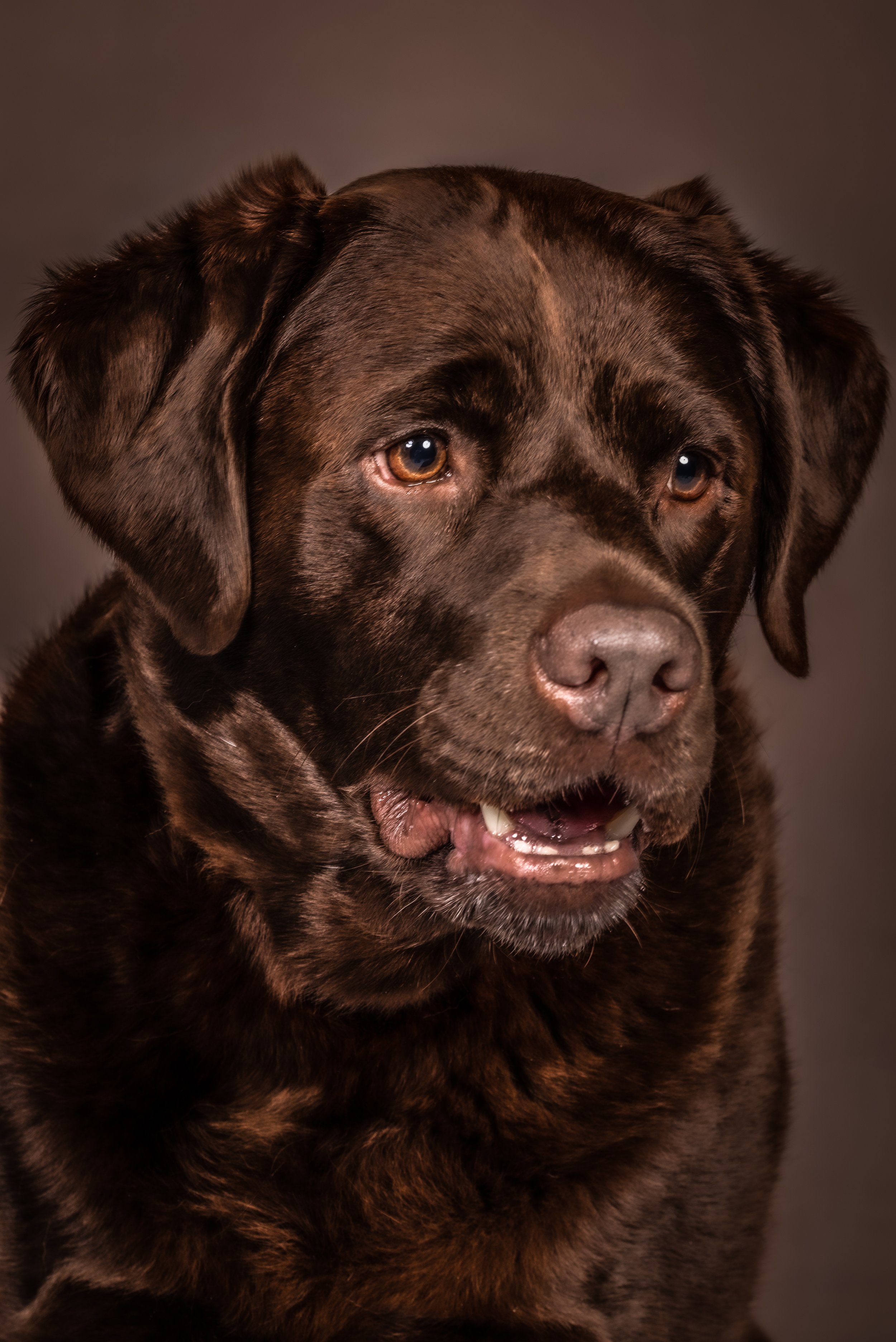 DSC_6546-Edit.jpeg