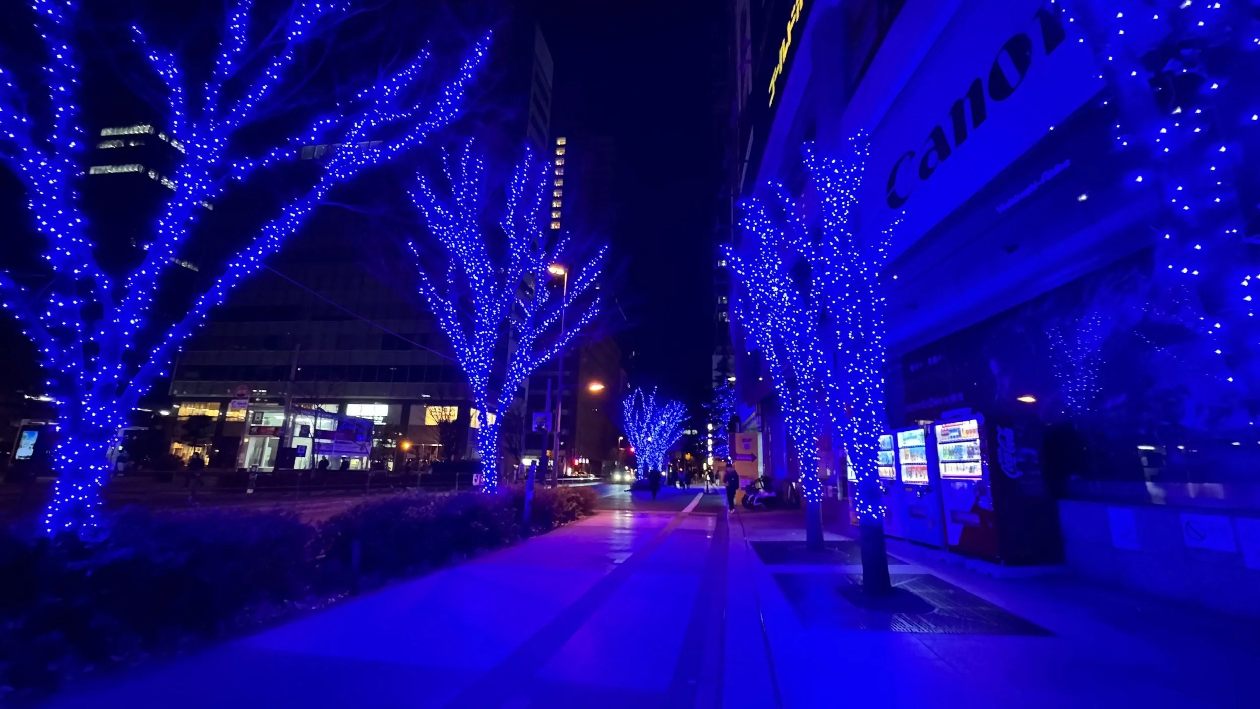 Why Should You Visit Japan in December?