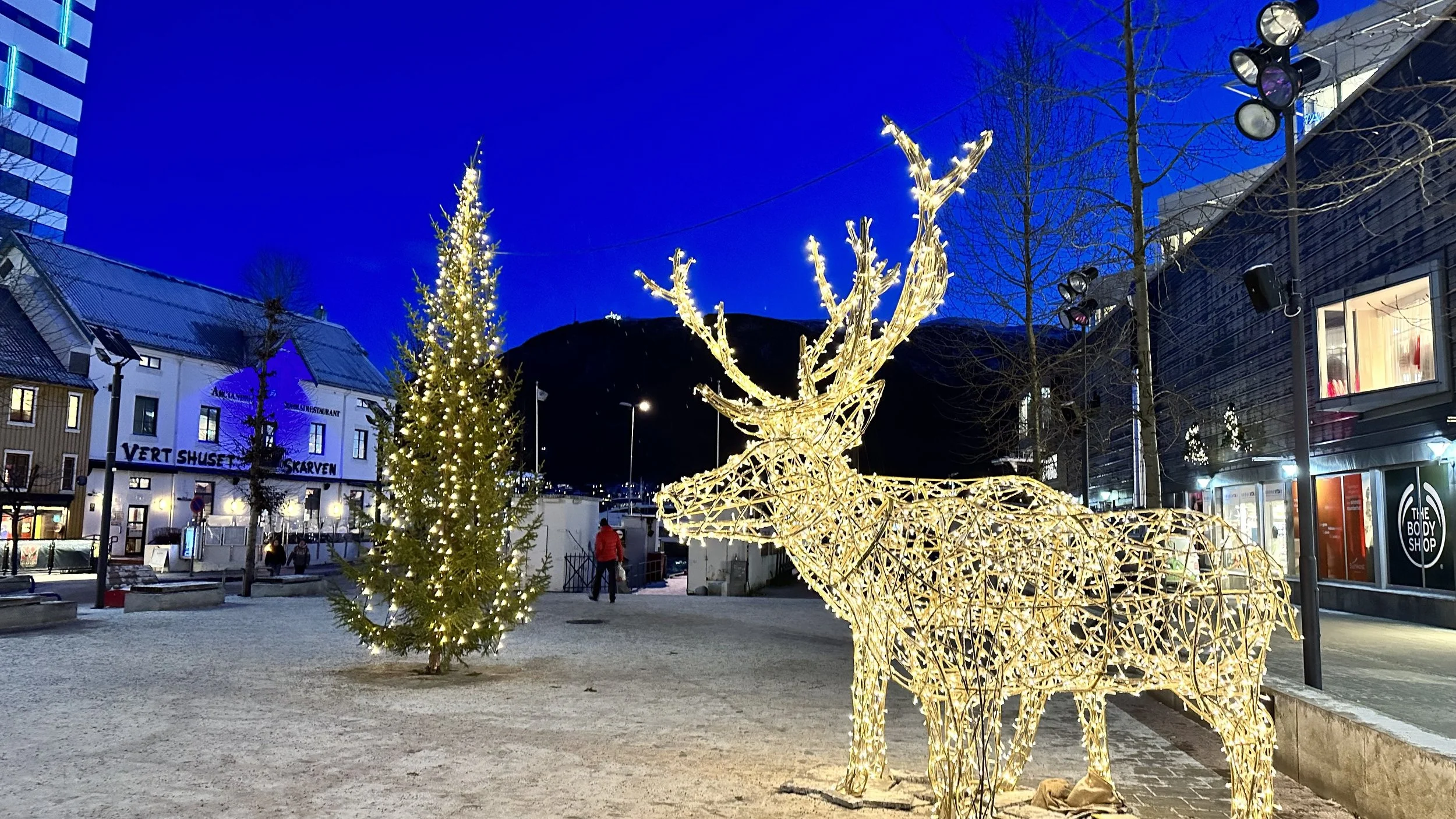 Thinking About Traveling Over Christmas ? Read This First