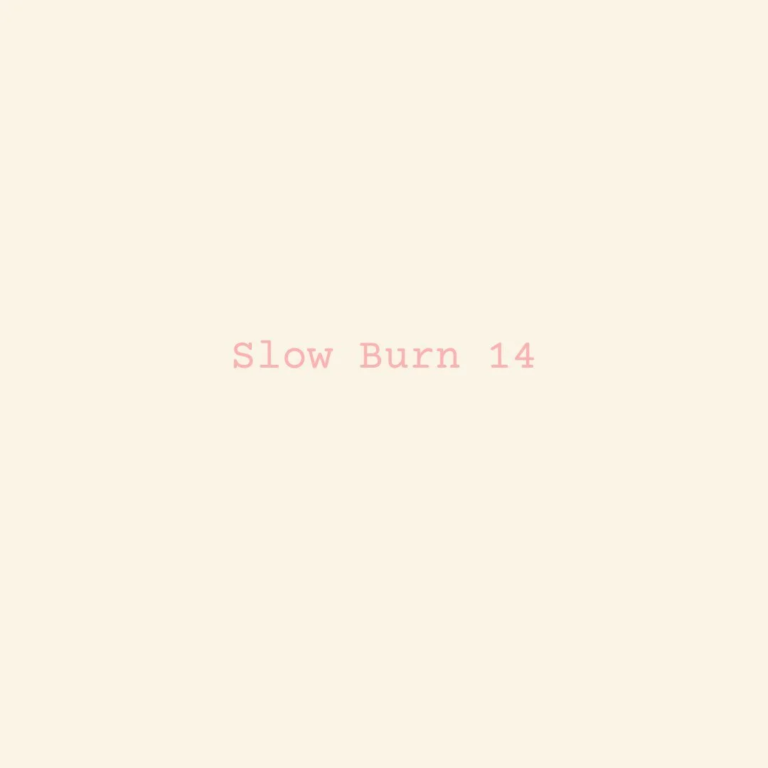 Where is the Blueprint for This?

The 14th sharing of Slow Burn reflects on something I&rsquo;ve returned to many times, the question of how to build a sustainable life in art, and the realisation that there is no one way. A shared condition, often m