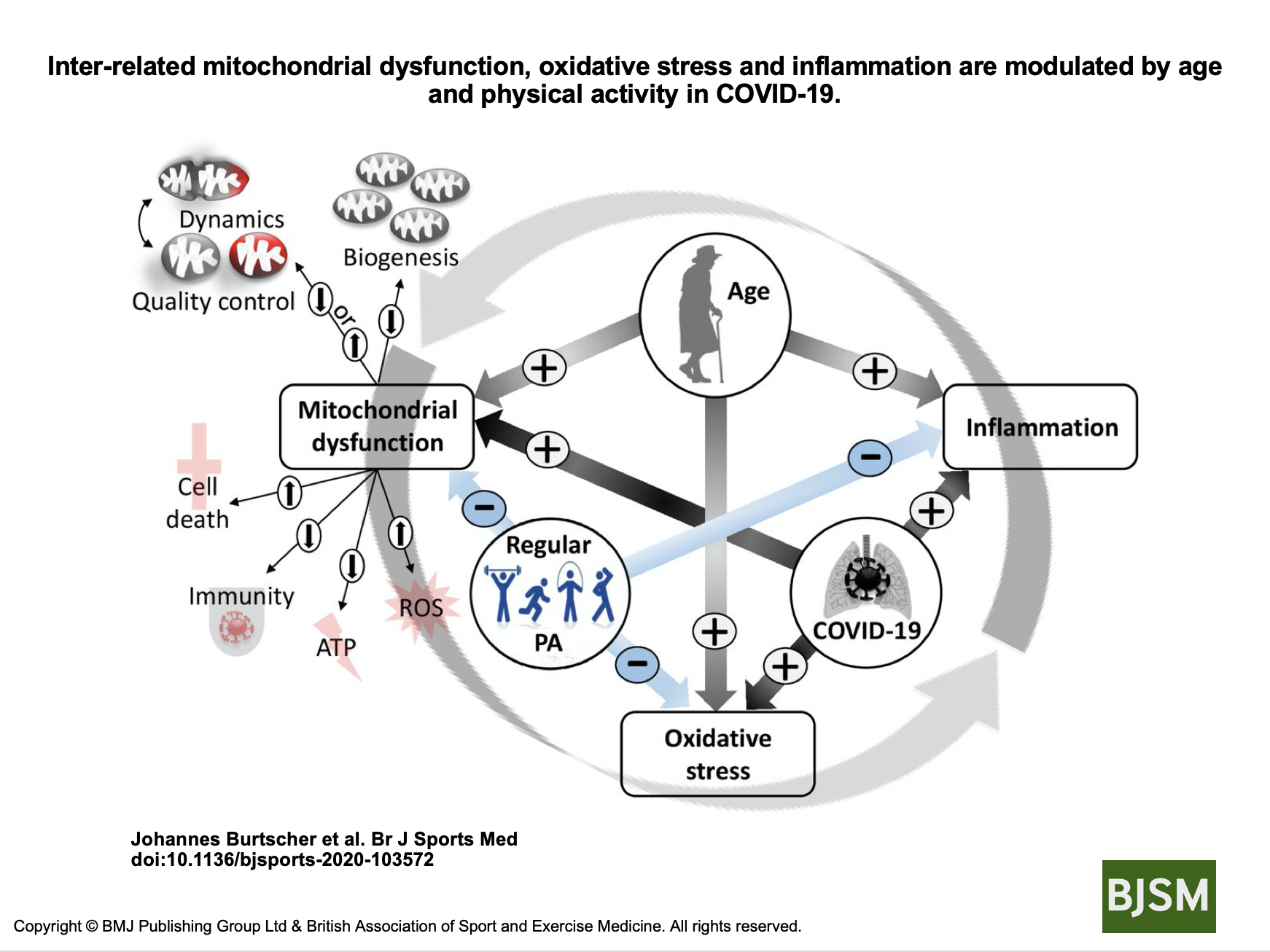COVID-19 diagram