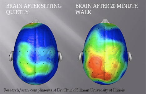 Graphic showcasing the difference a 20 minute walk makes on your brain activity