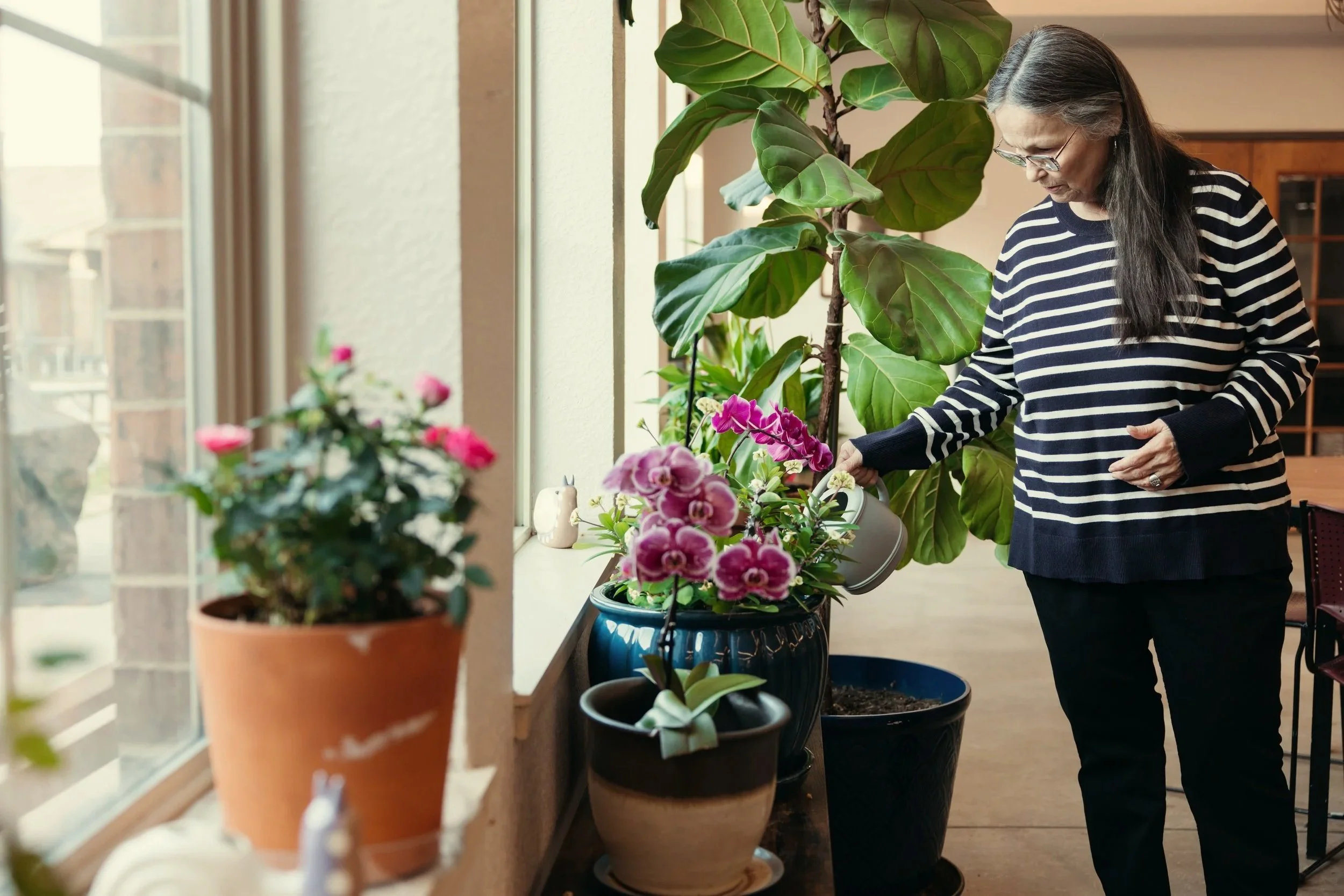A resident of City Care's Supportive Communities program waters potted flowers in a brightly lit cafeteria.