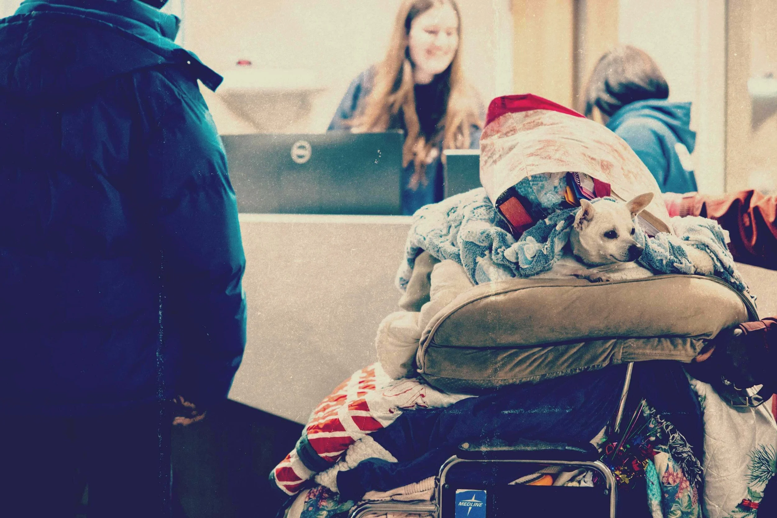A small dog lying on a pile of clothes on top of a rolled suitcase at an airport check-in counter, with a woman smiling in the background.