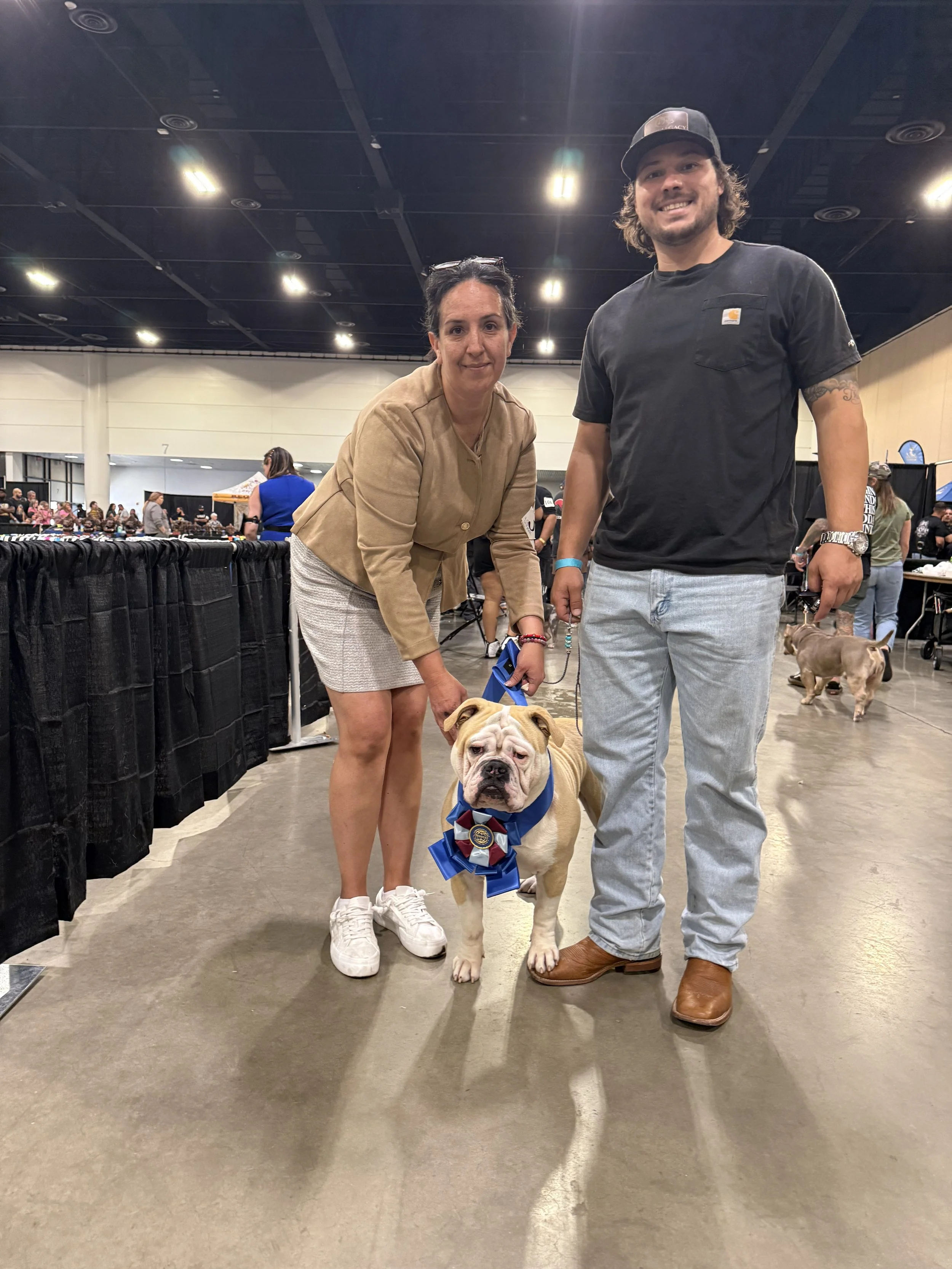 olde english bulldogge show best of winners