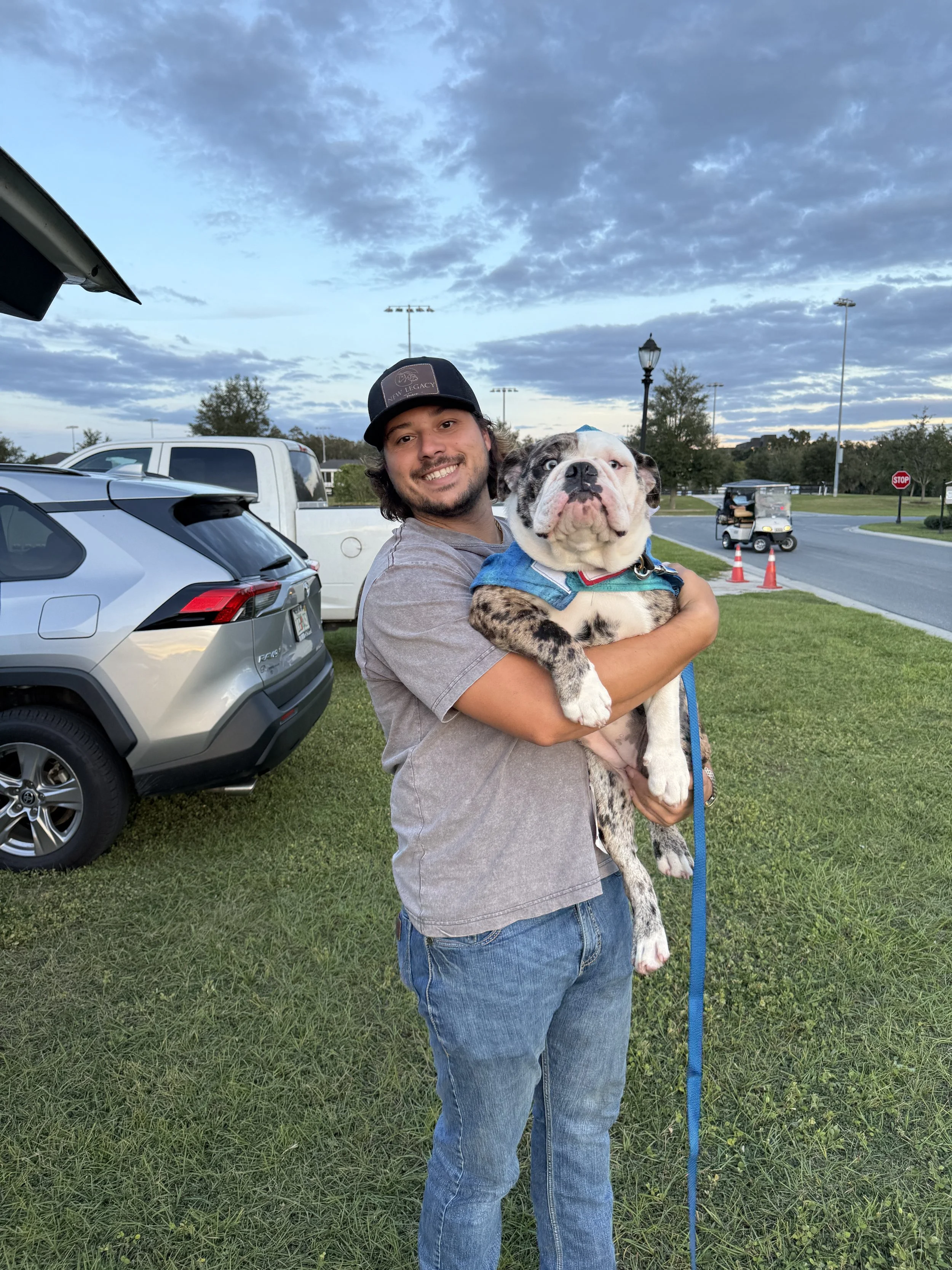 bulldog dressed up in halloween costume shark