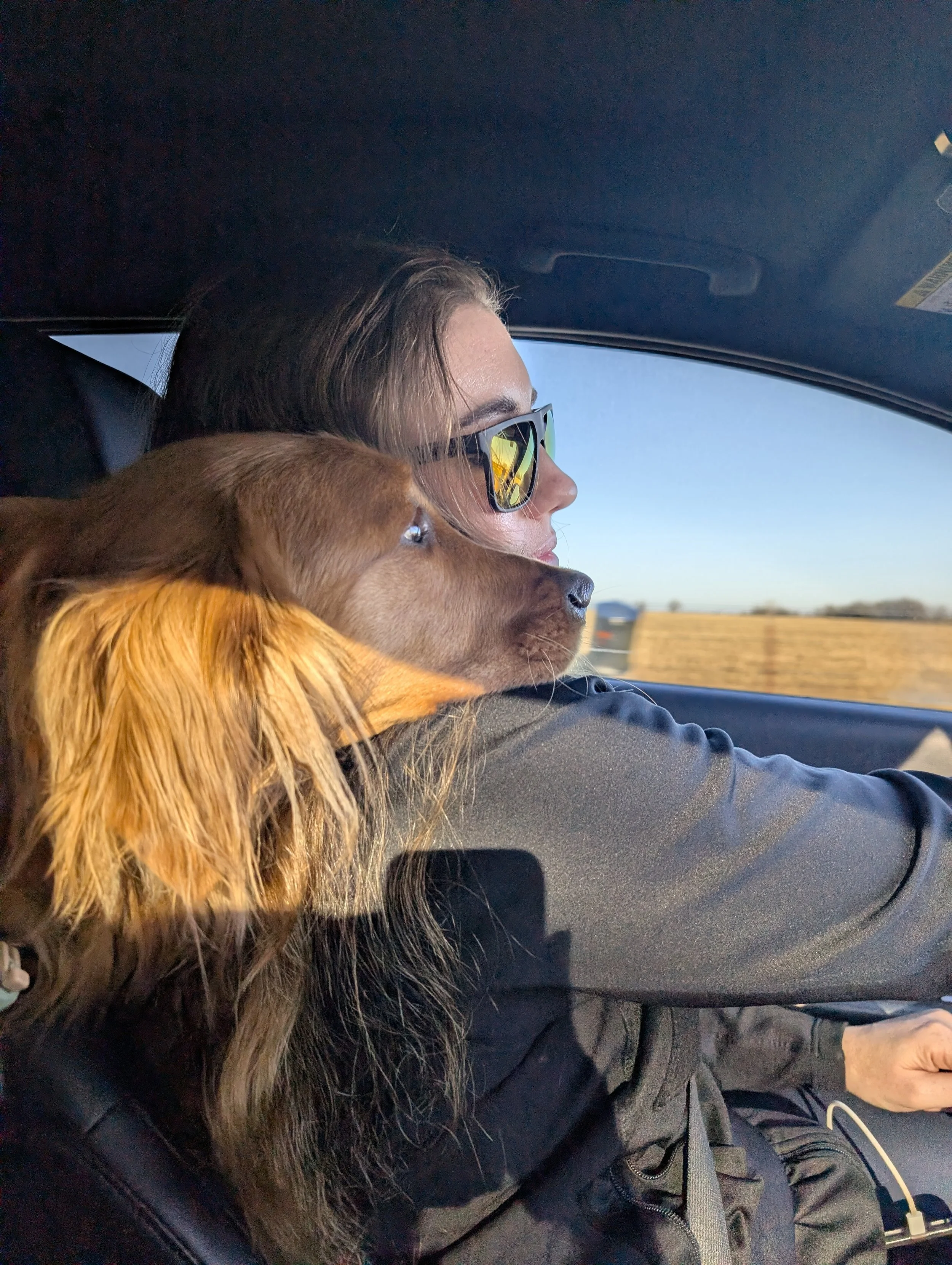A woman and a brown dog sitting in a car, looking out the window at a rural landscape.
