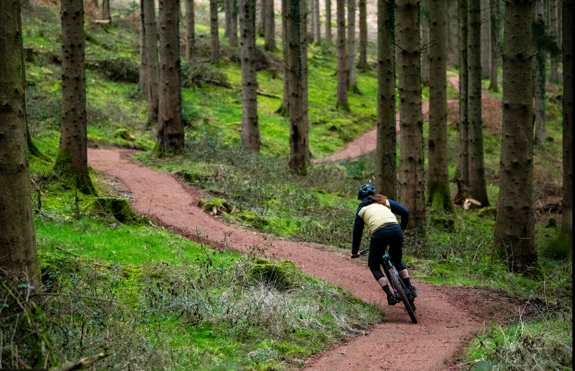Forest of Dean single track