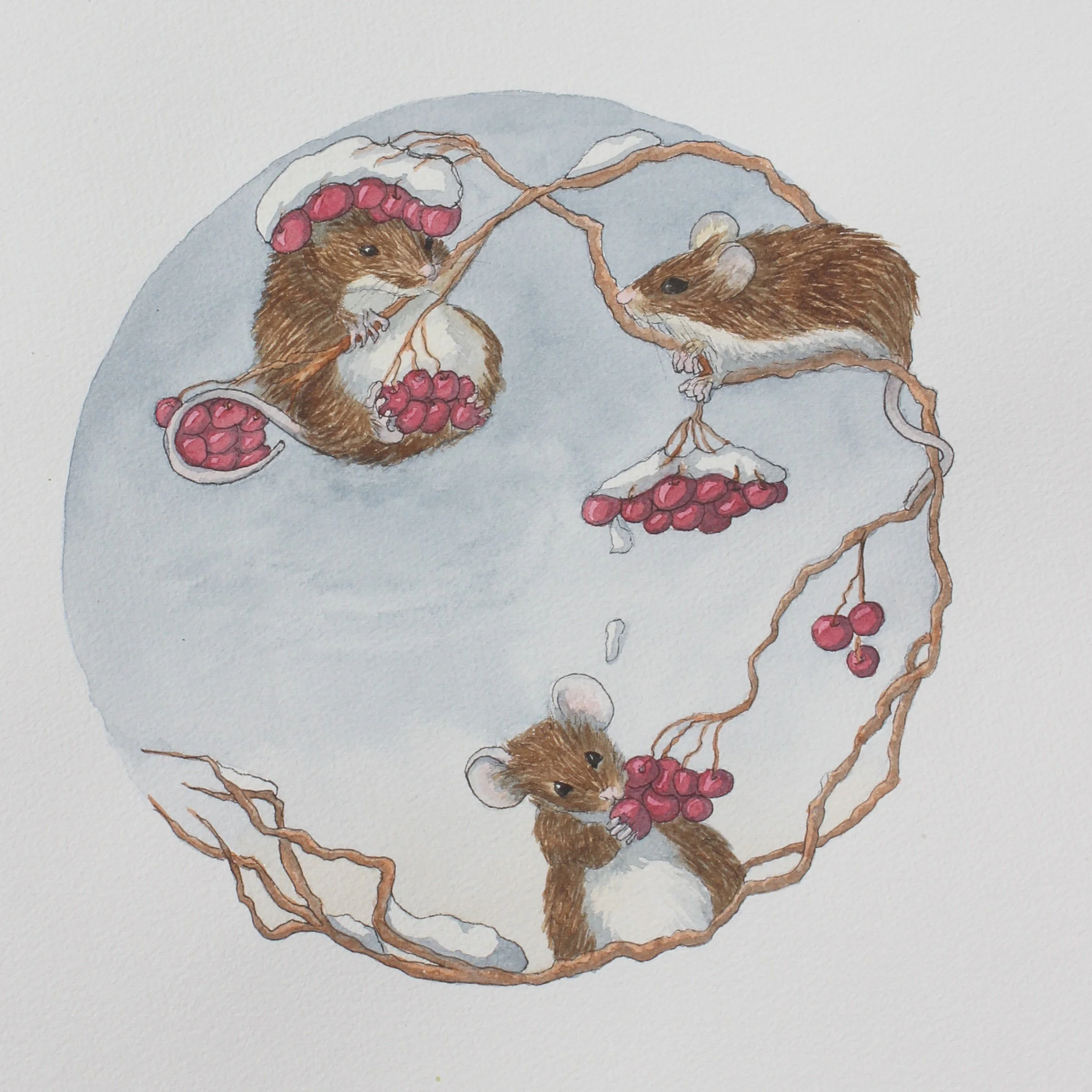 Playful Harvest Mice gathering berries