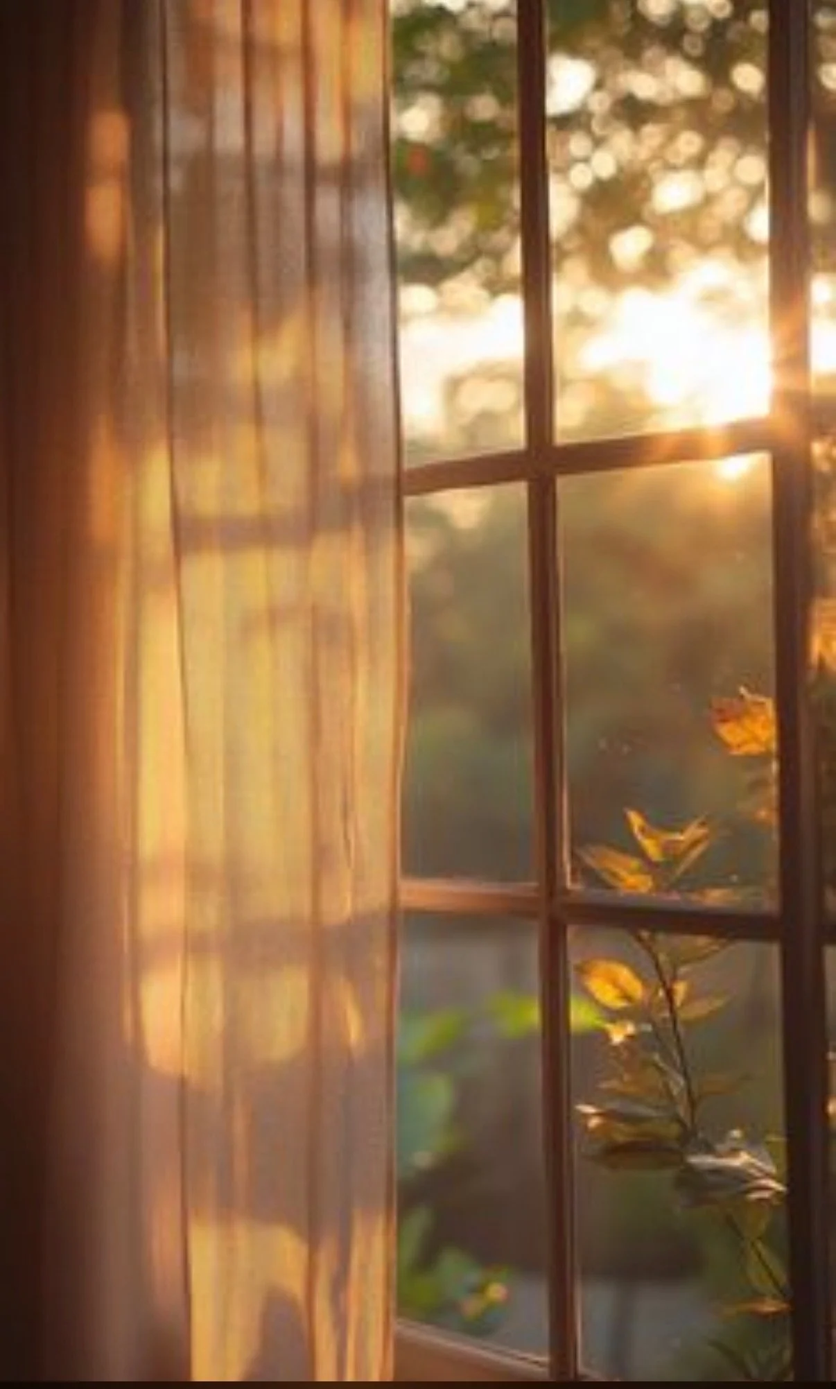 Holding Hope Carefully During IVF