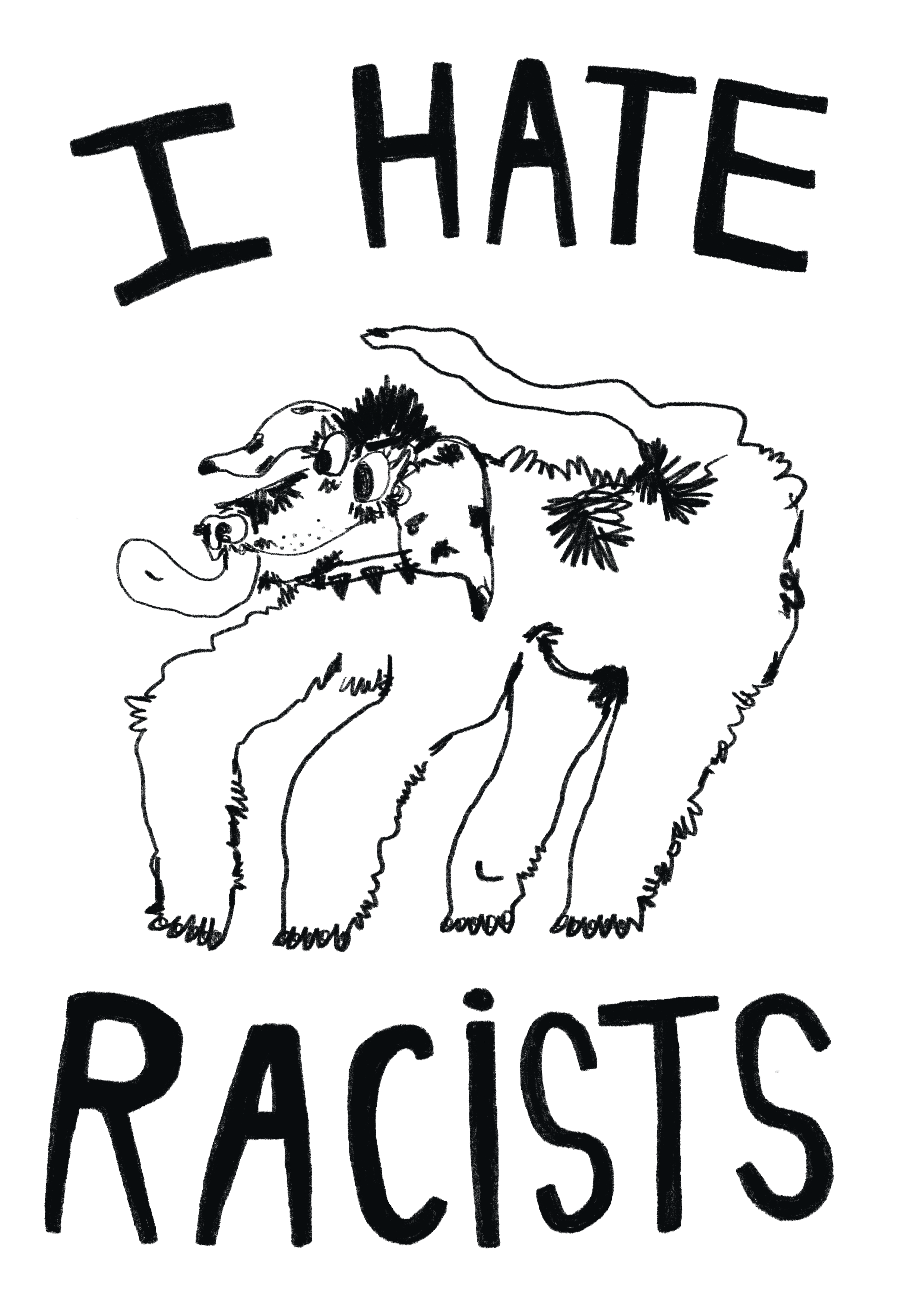 IMG_1435.PNG