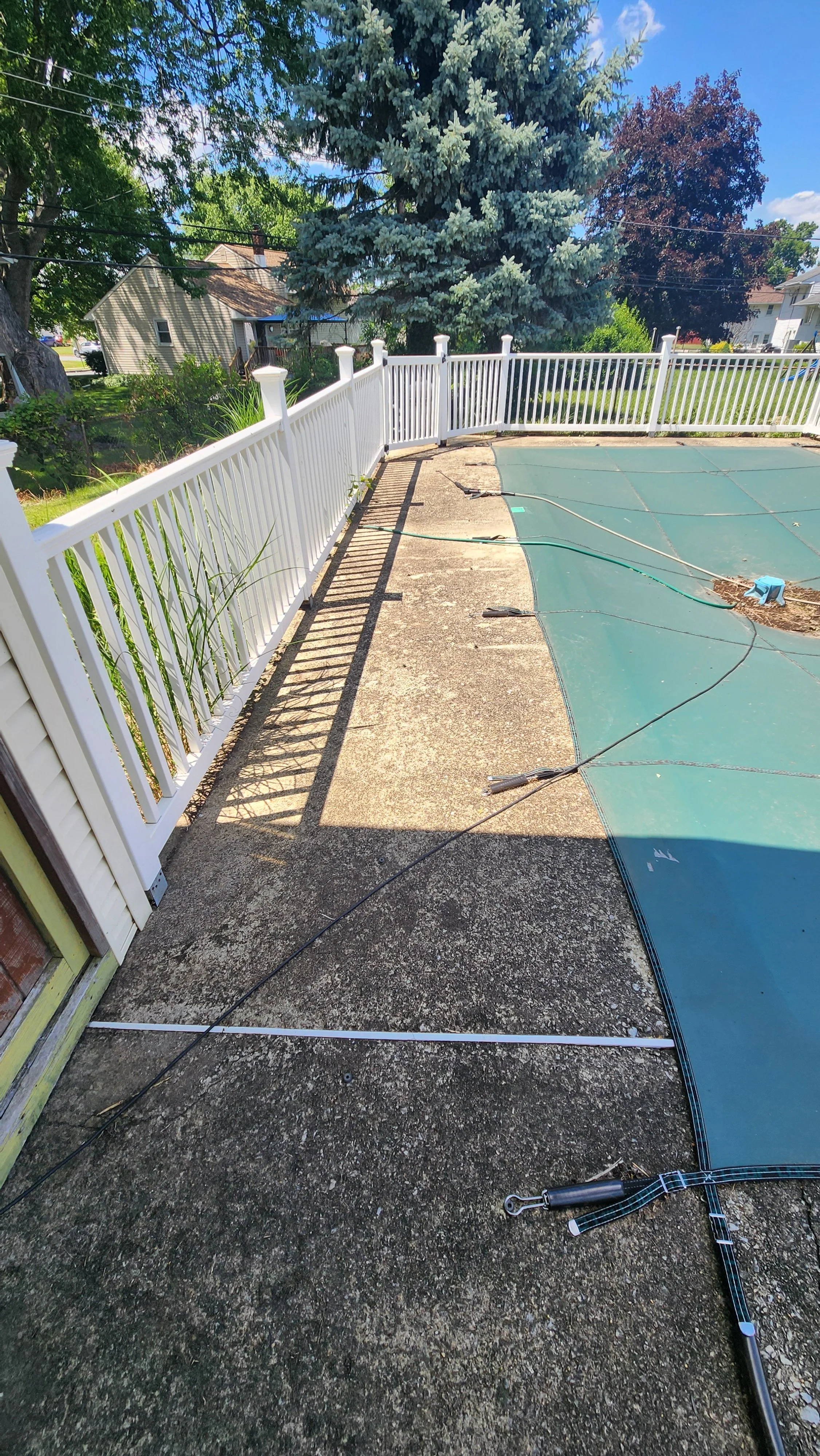 Resized backyard swimming pool with a privacy fence, a large pine tree, and a shed visible in a suburban neighborhood on a sunny day before being cleaned.