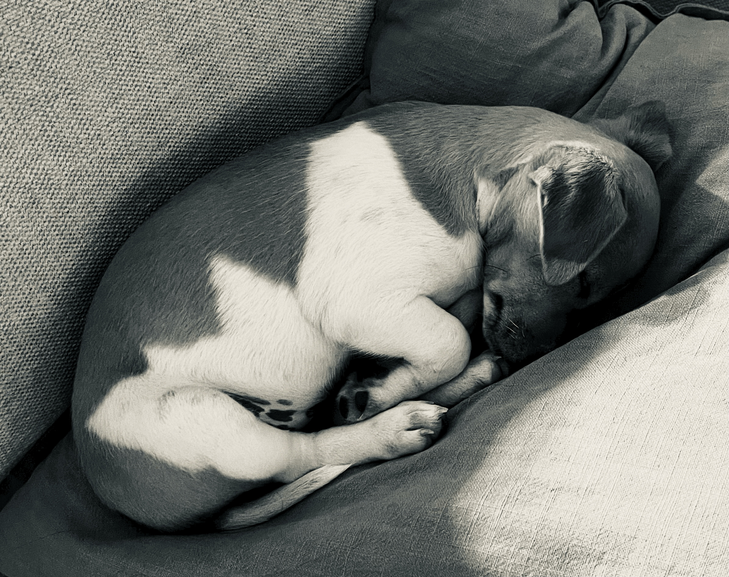 Tired of Feeling Tired? Here’s Why and What You Can Do About