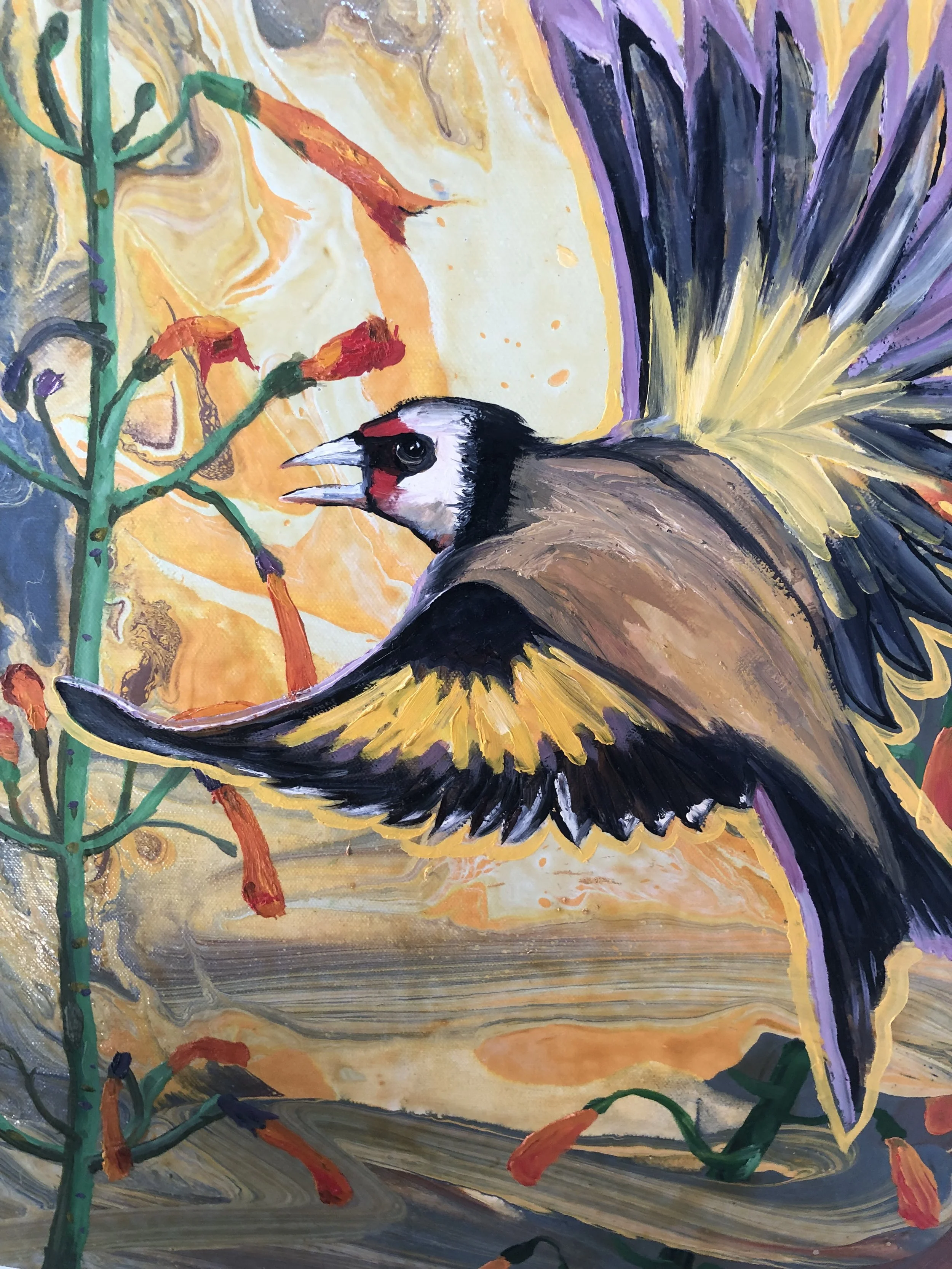 "Cardinal in Cupheas"