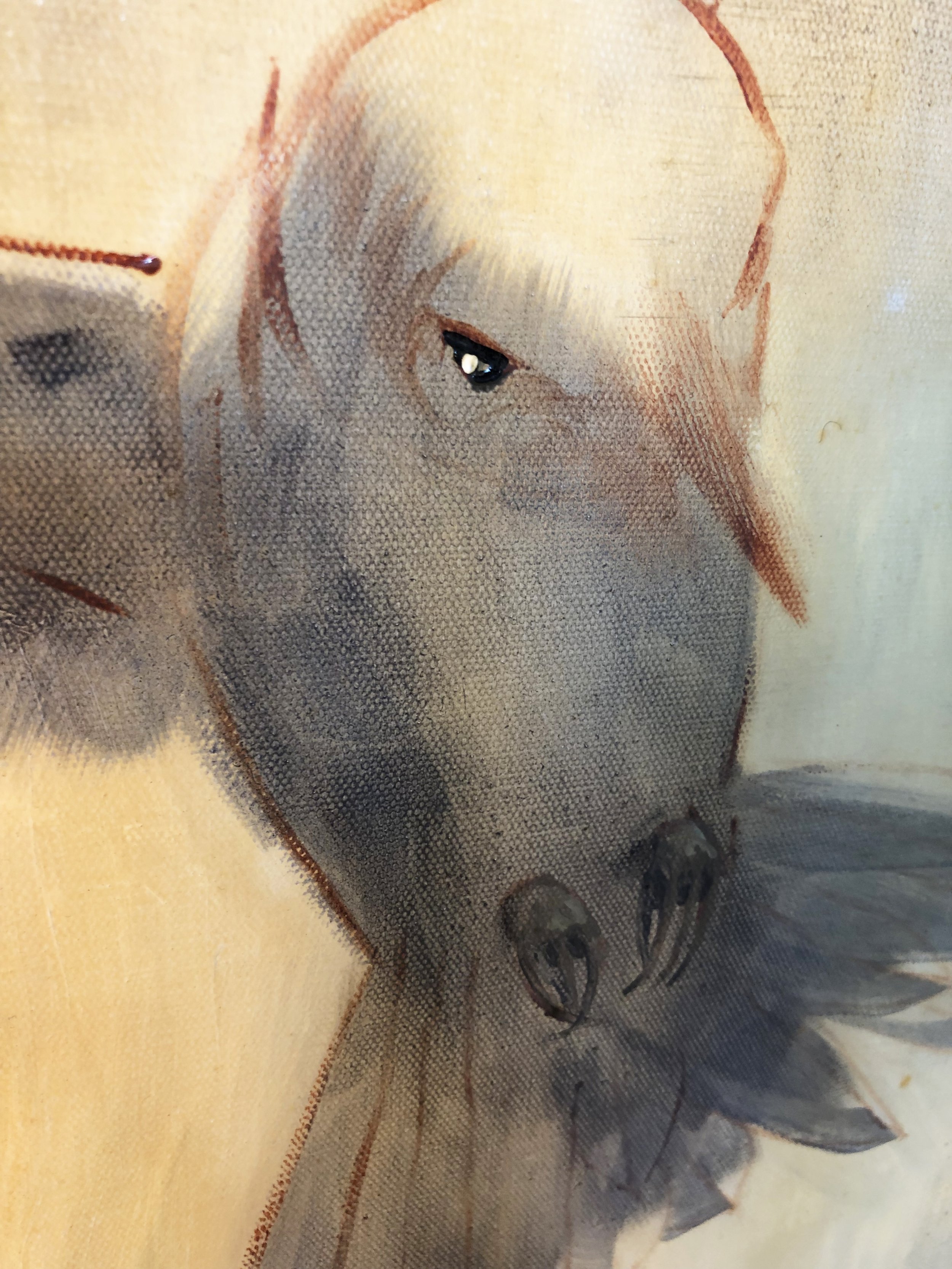 “Hummer At Dawn”