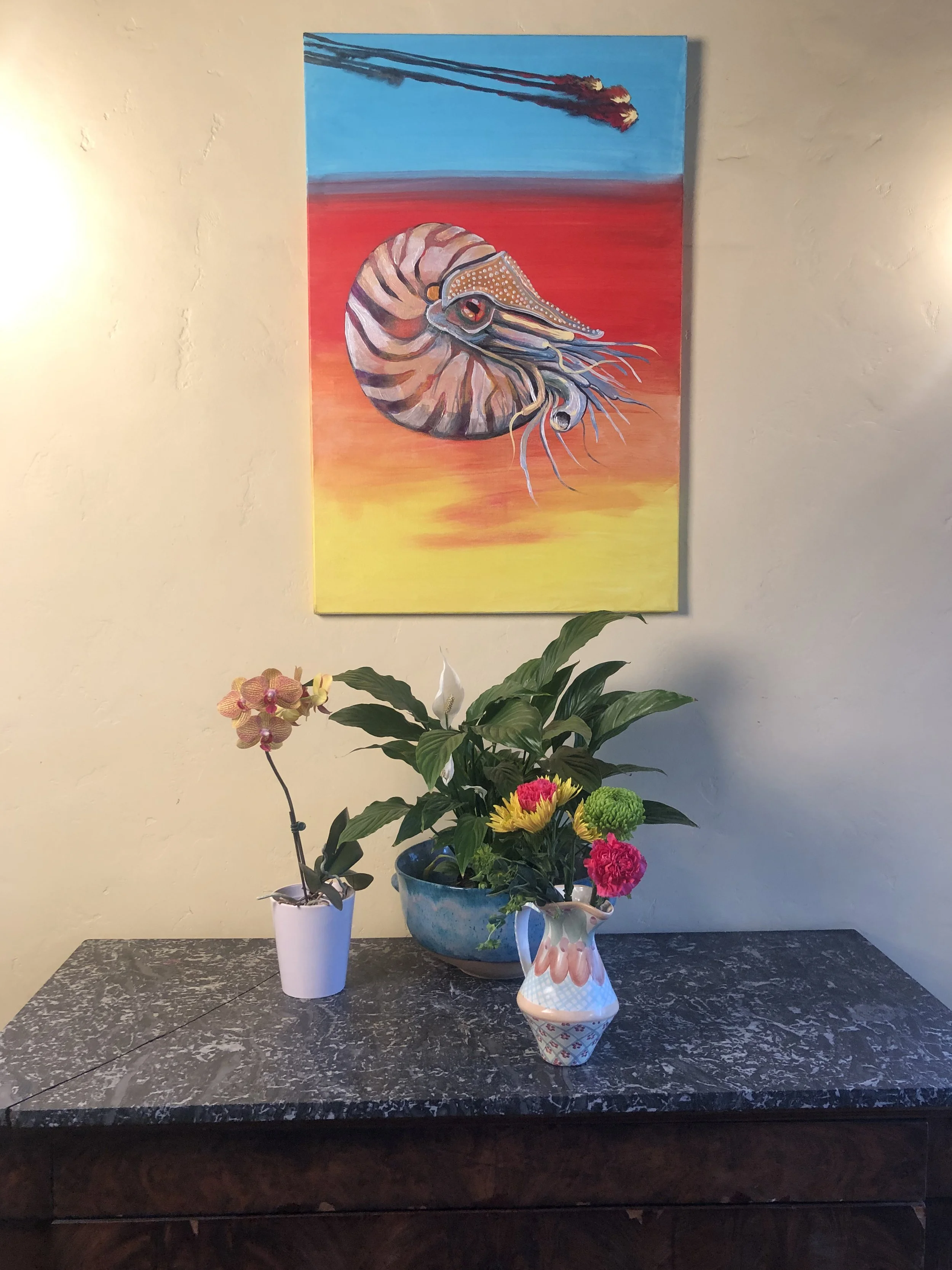 "Nautilus and 3 Meteors"