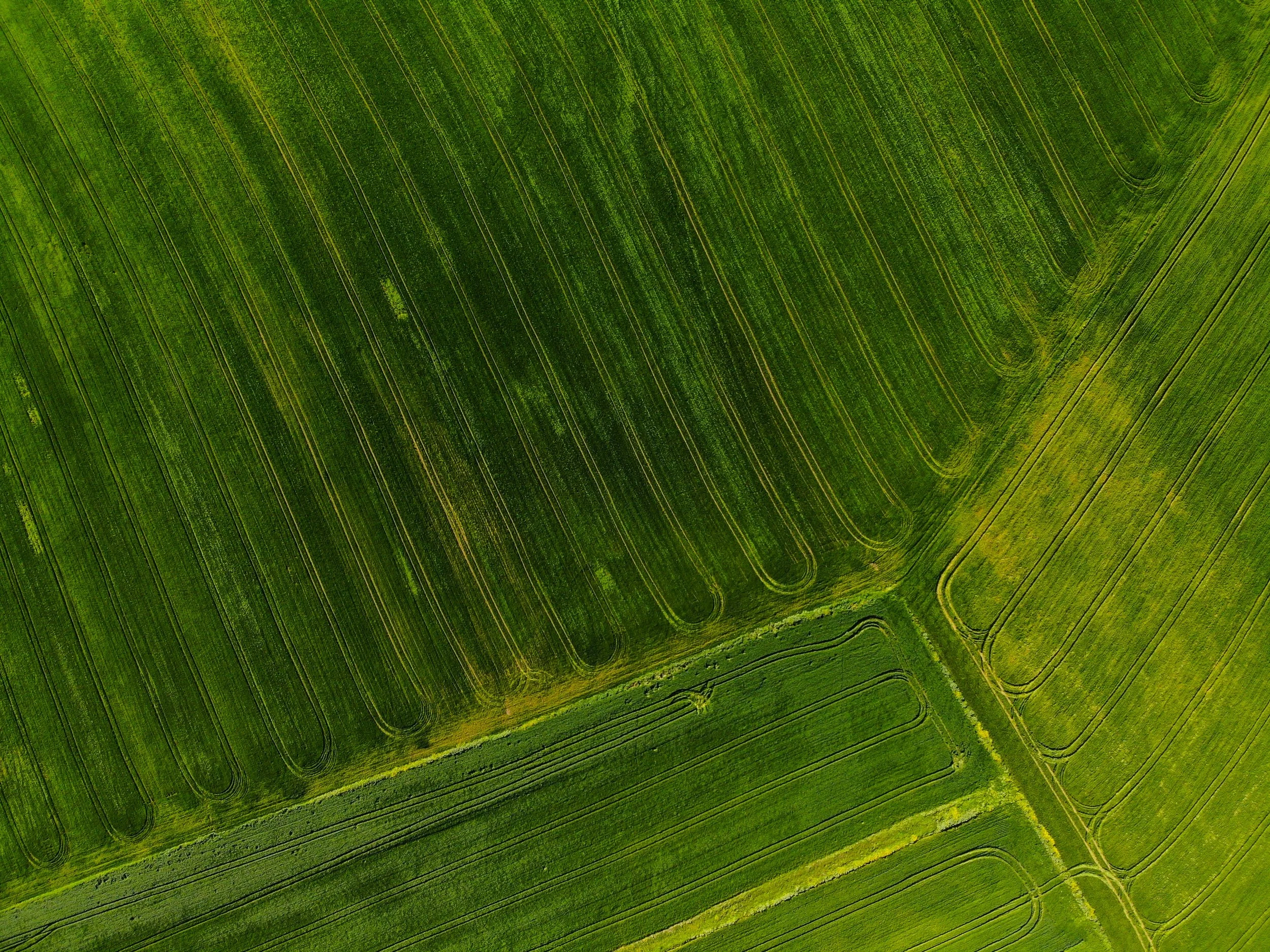 Aerial view of green agricultural fields with curving and straight lines forming patterns.
