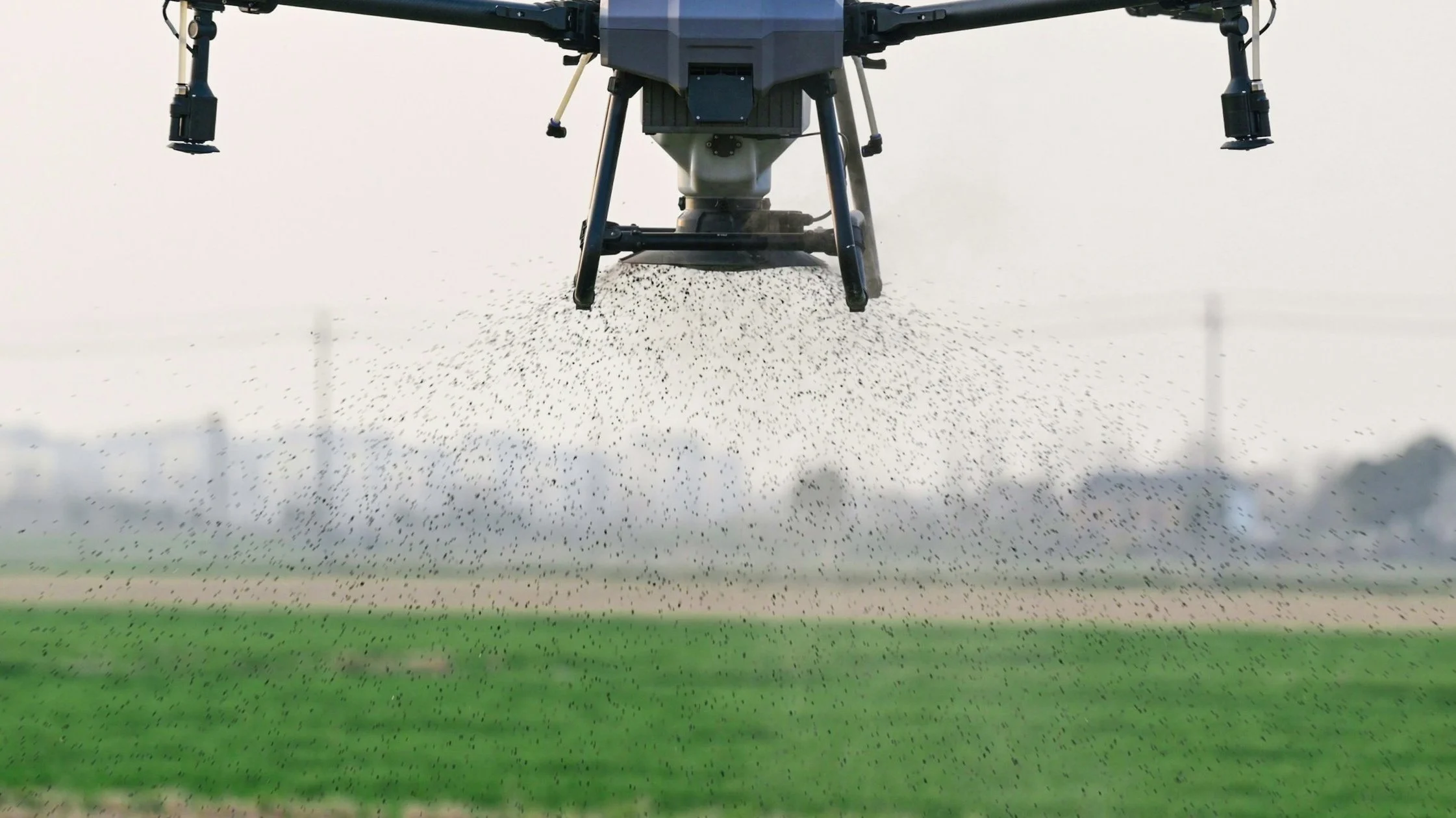 A drone flying over a field, releasing small particles onto the land.