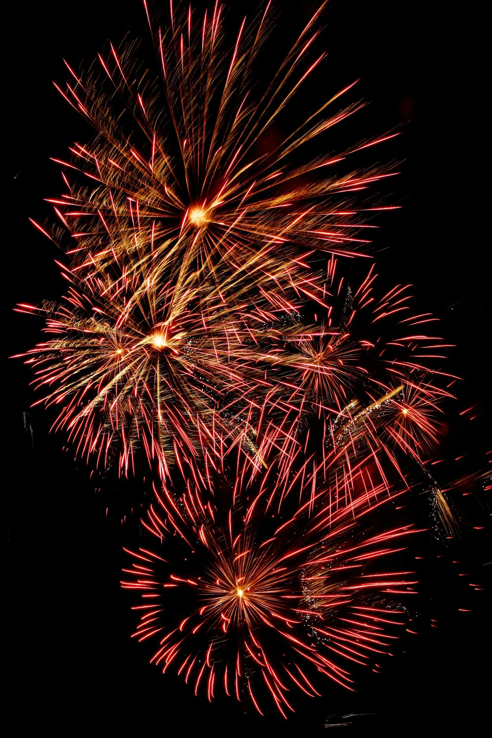 Christmas Holiday and New Year's - PPS Closed