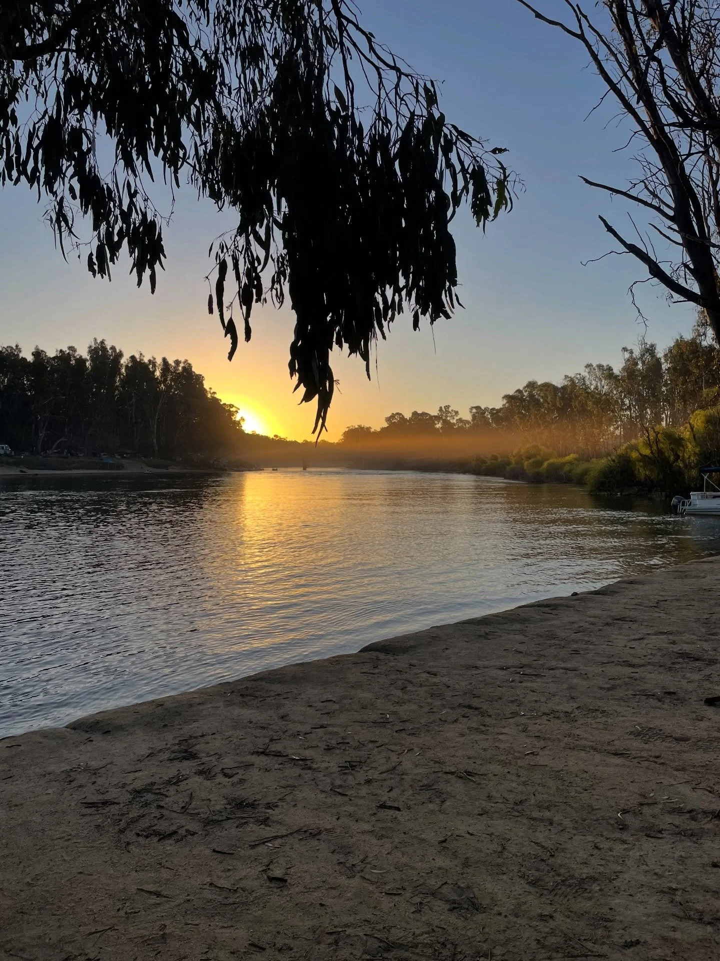 Been quiet on here lately to focus on time with these legends. 

Sending huge love to you all for the new year, 
thank you for being here, choosing your growth, following along and supporting Reconnected Woman. 

Give thanks to those you hold dear to