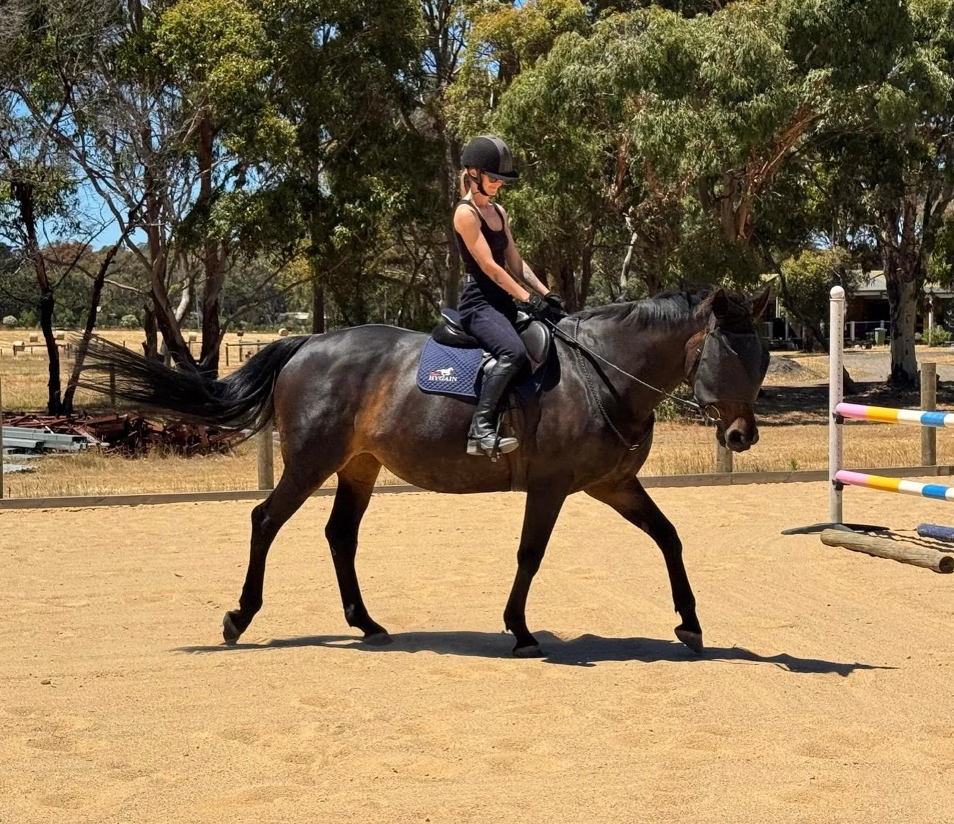 One day I&rsquo;ll get back into work mode, 
today is not that day. 

February 17th we enter the year of the Fire Horse, 
so if you are still feeling that funky last shedding of skin from 2025 snake energy I&rsquo;m with you 🫠🐍

Thanks @charzwar fo