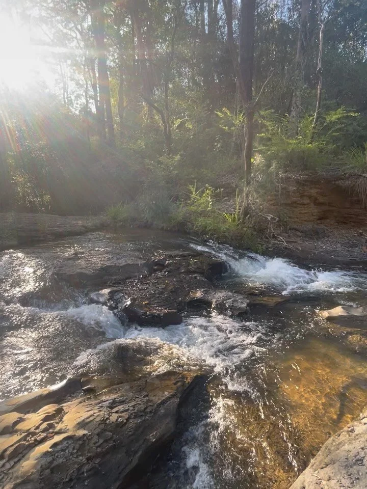 After two weeks away, returning home with a brumby and landing straight into school holidays I&rsquo;ve been easing my way back into work mode. 

My solo journey up to northern NSW was something I&rsquo;ll carry for a long time. It felt expansive, gr