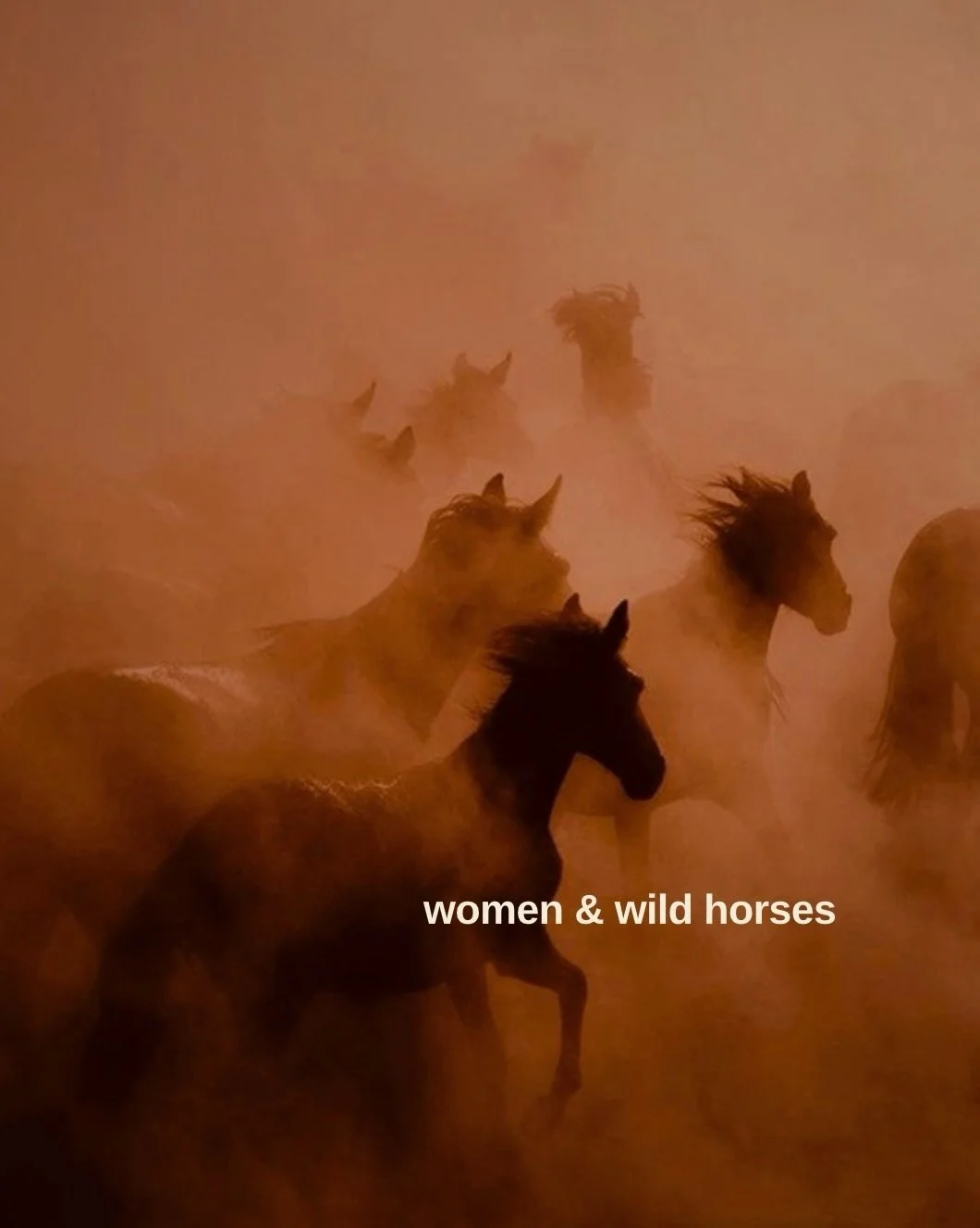 When a brumby training camp became the women&rsquo;s retreat I never knew I needed.

I recently headed up to Northern NSW for a 10-day brumby training camp. I expected to learn more about horsemanship but what I didn&rsquo;t expect was the women.

Th
