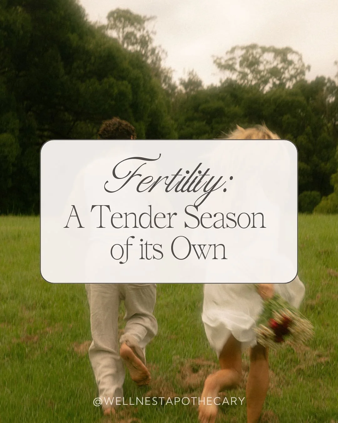Fertility can be its own season. Tender, hopeful, and sometimes heartbreaking. For some, conception comes easily. For others, it is a journey of waiting, longing, and navigating the grief that can come along the way.

Homeopathy can gently walk besid