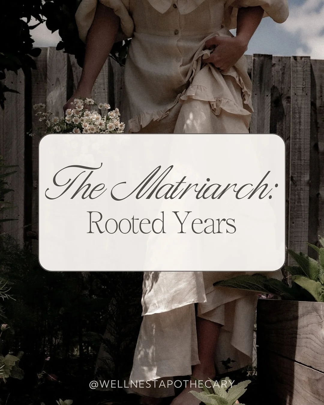 The Matriarch years are the rooted years. She carries wisdom in her bones, steadiness in her voice,
&amp; responsibility in her hands.
This season often brings deep transitions. 
Balancing family, work, and self.
Navigating perimenopause or menopause