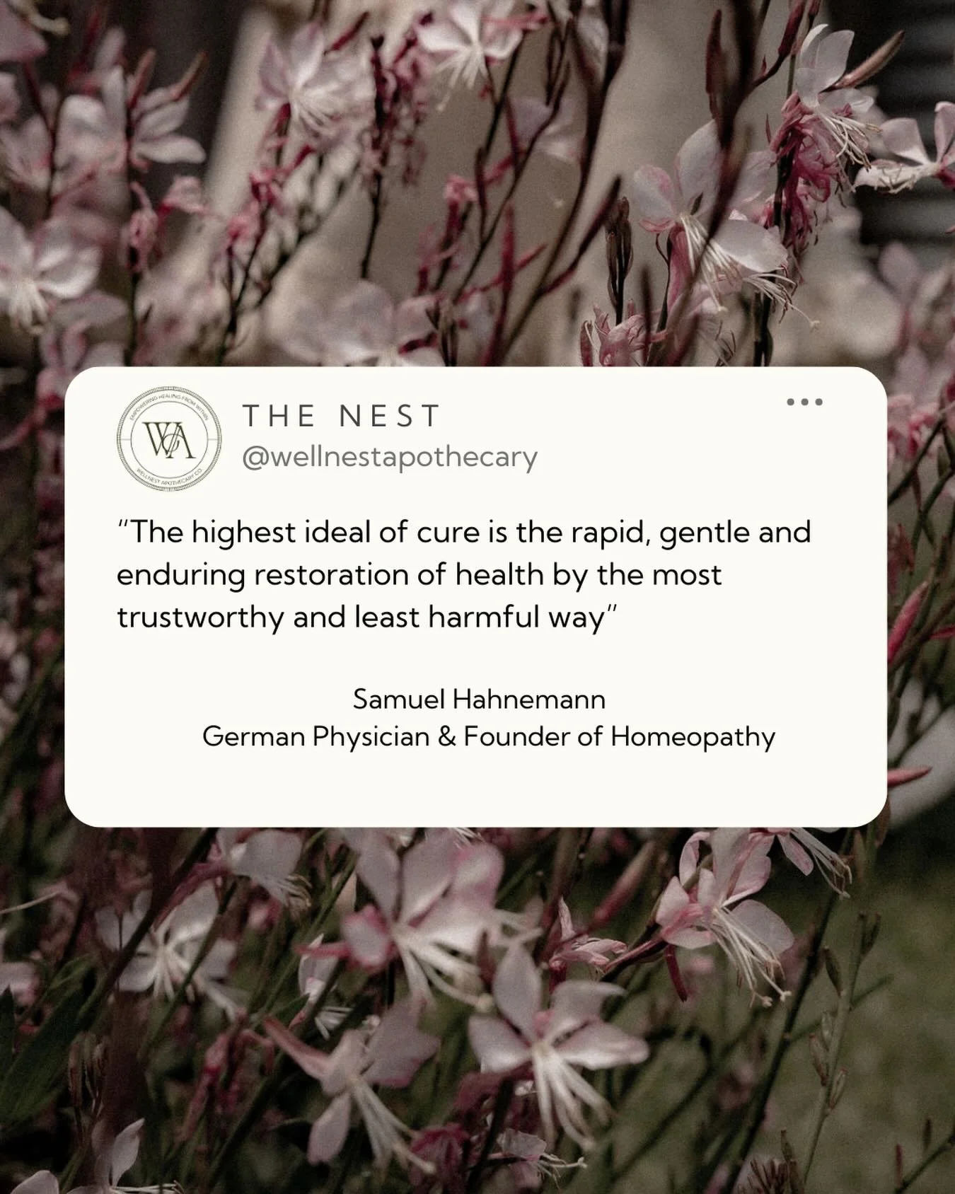 ✨In the spirit of Samuel Hahnemann, we practise the art of true healing: swift without force, gentle without compromise, lasting without suppression, trustworthy and profoundly kind to the vital force ✨

#FounderofHomeopathy #TrueHealing #WellnestApo