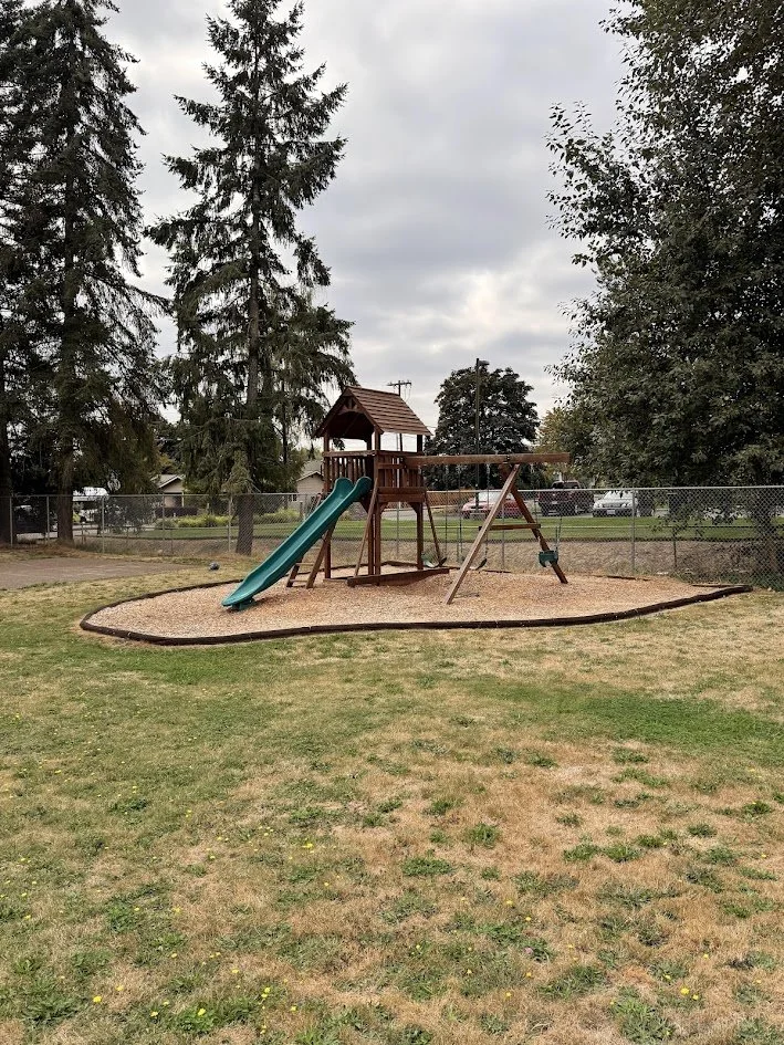 Children's playground set with a slide, a swing, and a wooden playhouse in a fenced yard, surrounded by trees and overcast sky.