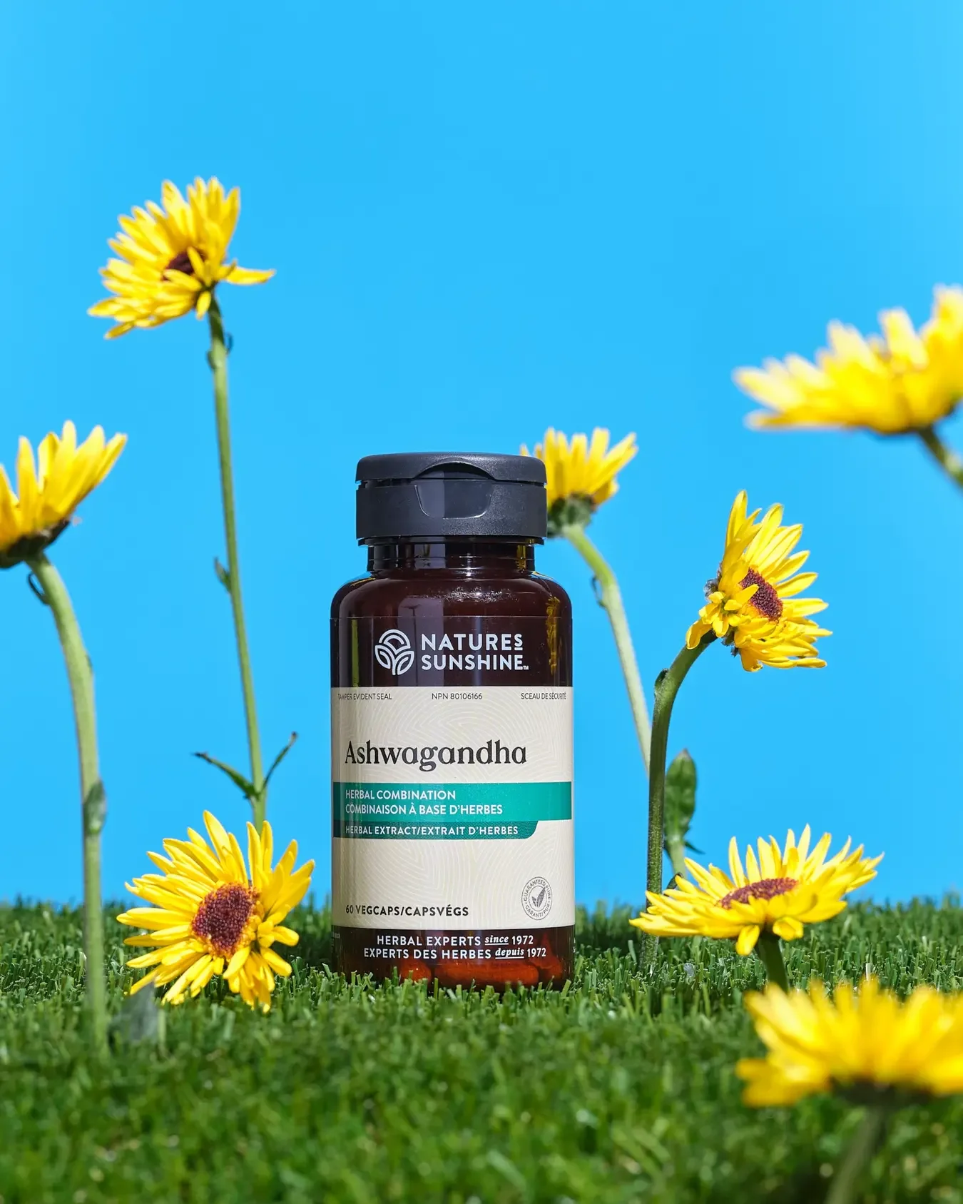 Supporting the Nervous System Without the Hustle, With Nature’s Sunshine