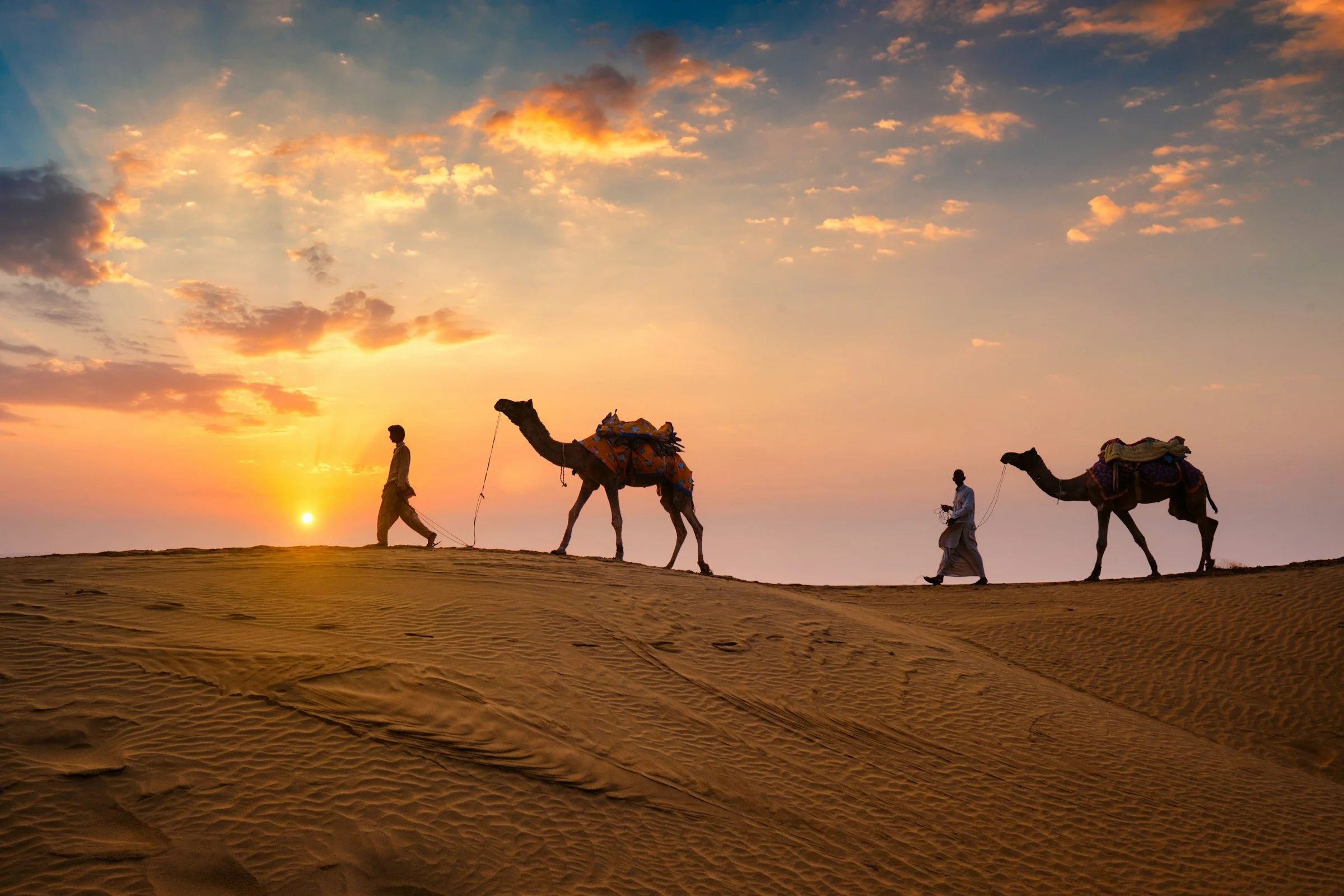 camels-walking-in-sahara-desert-of-morocco-with-sunset-in-background.jpg