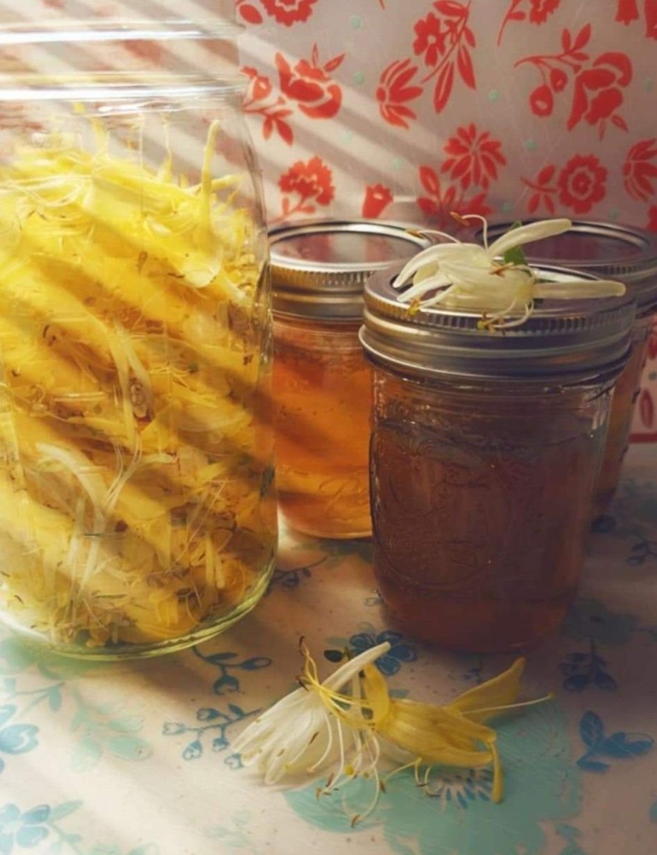 Honeysuckle Jelly