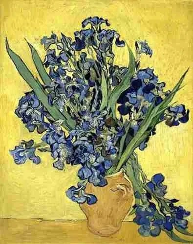 DIY DMC Cross Stitch Embroidery Kit 11ct 14ct Van Gogh Iris printed canvas DYI needlework